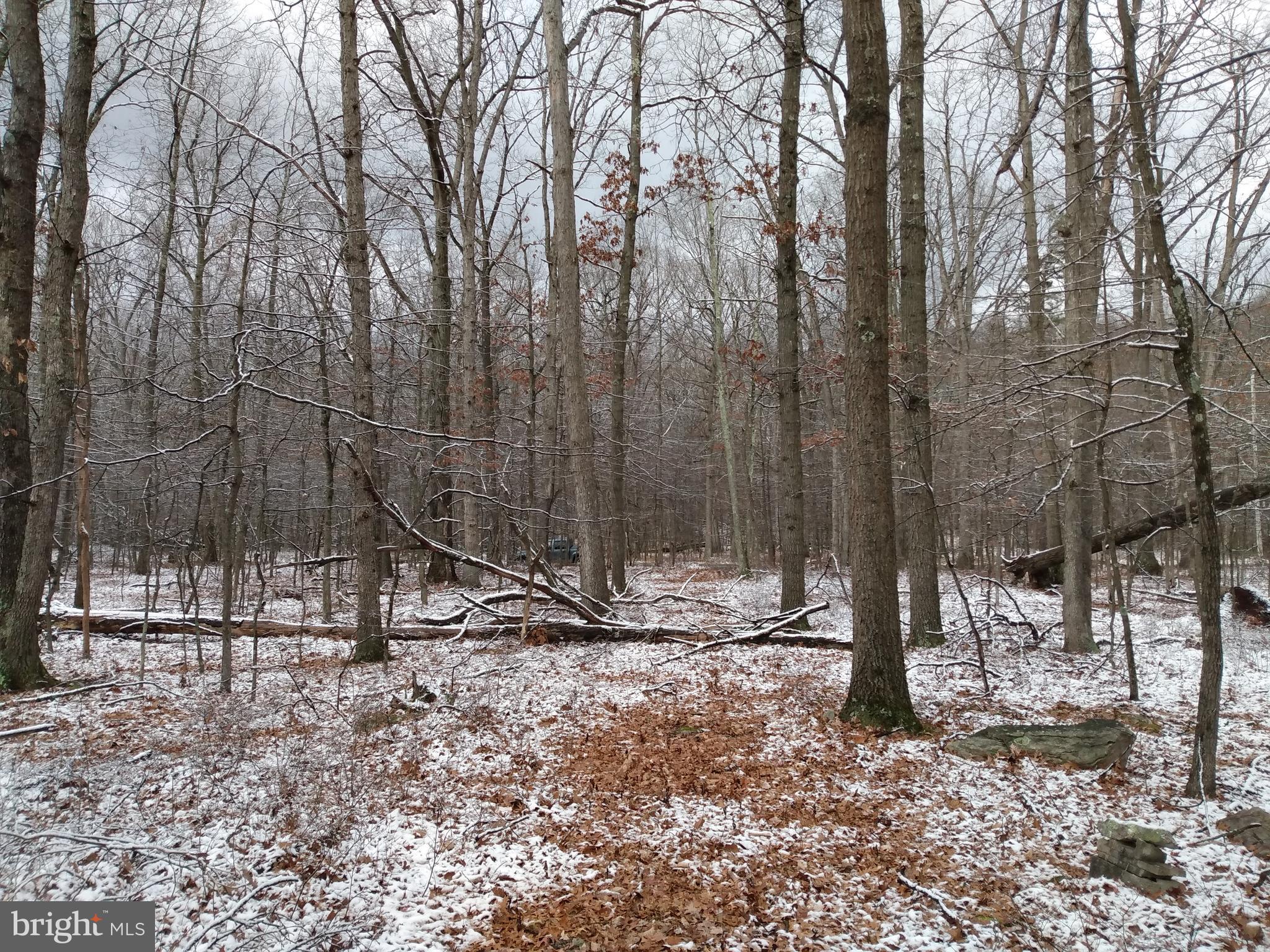 CACAPON HIGHLANDS - Land