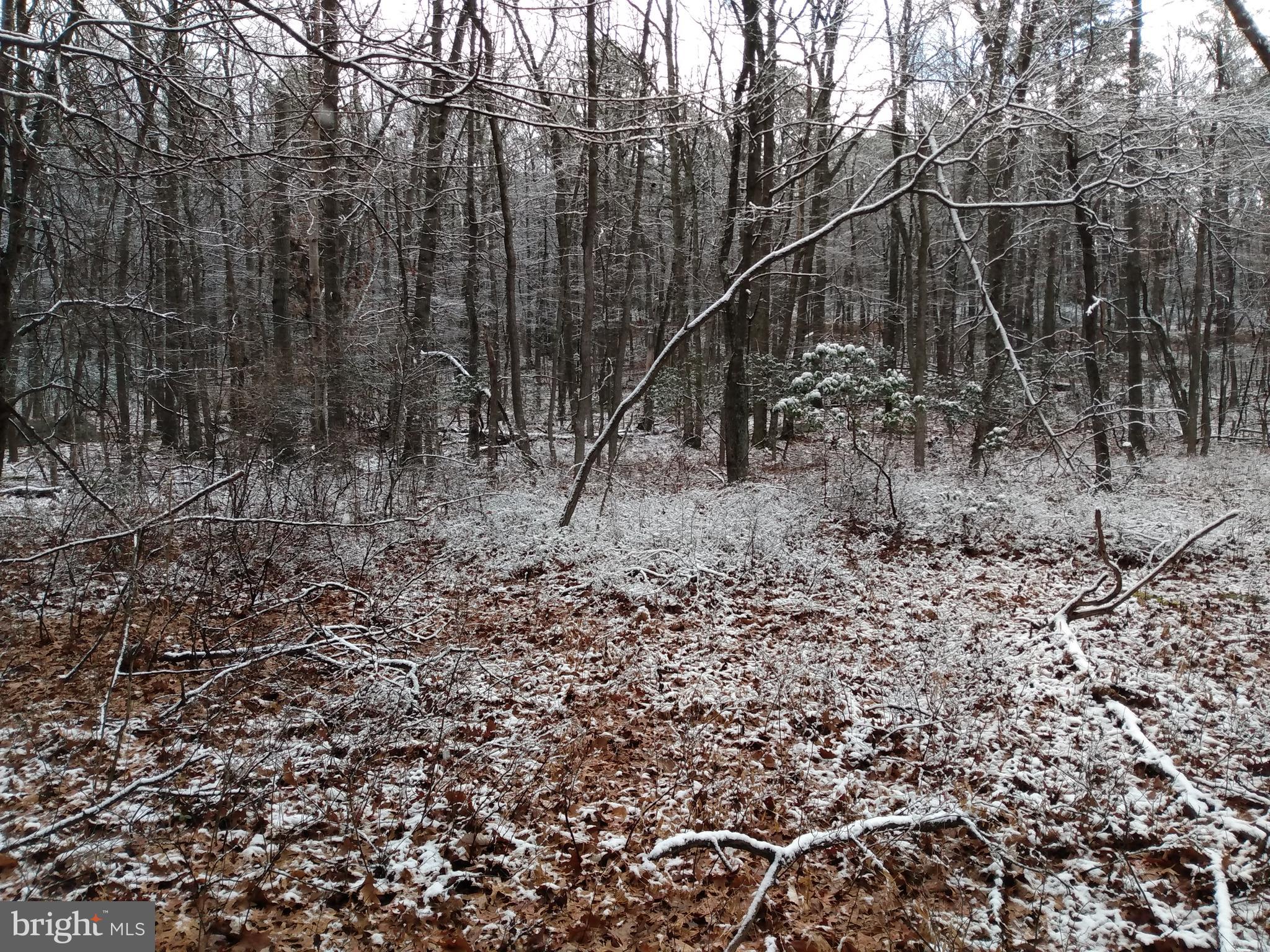 CACAPON HIGHLANDS - Land