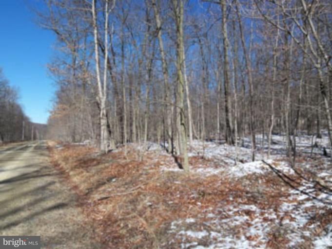 CACAPON HIGHLANDS - Land