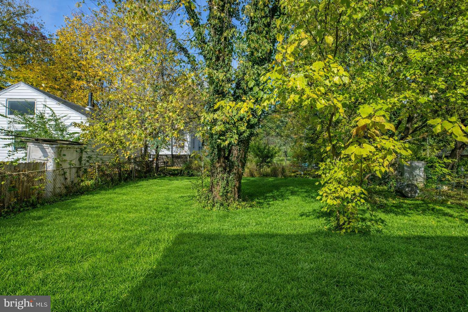MT RAINIER - Residential