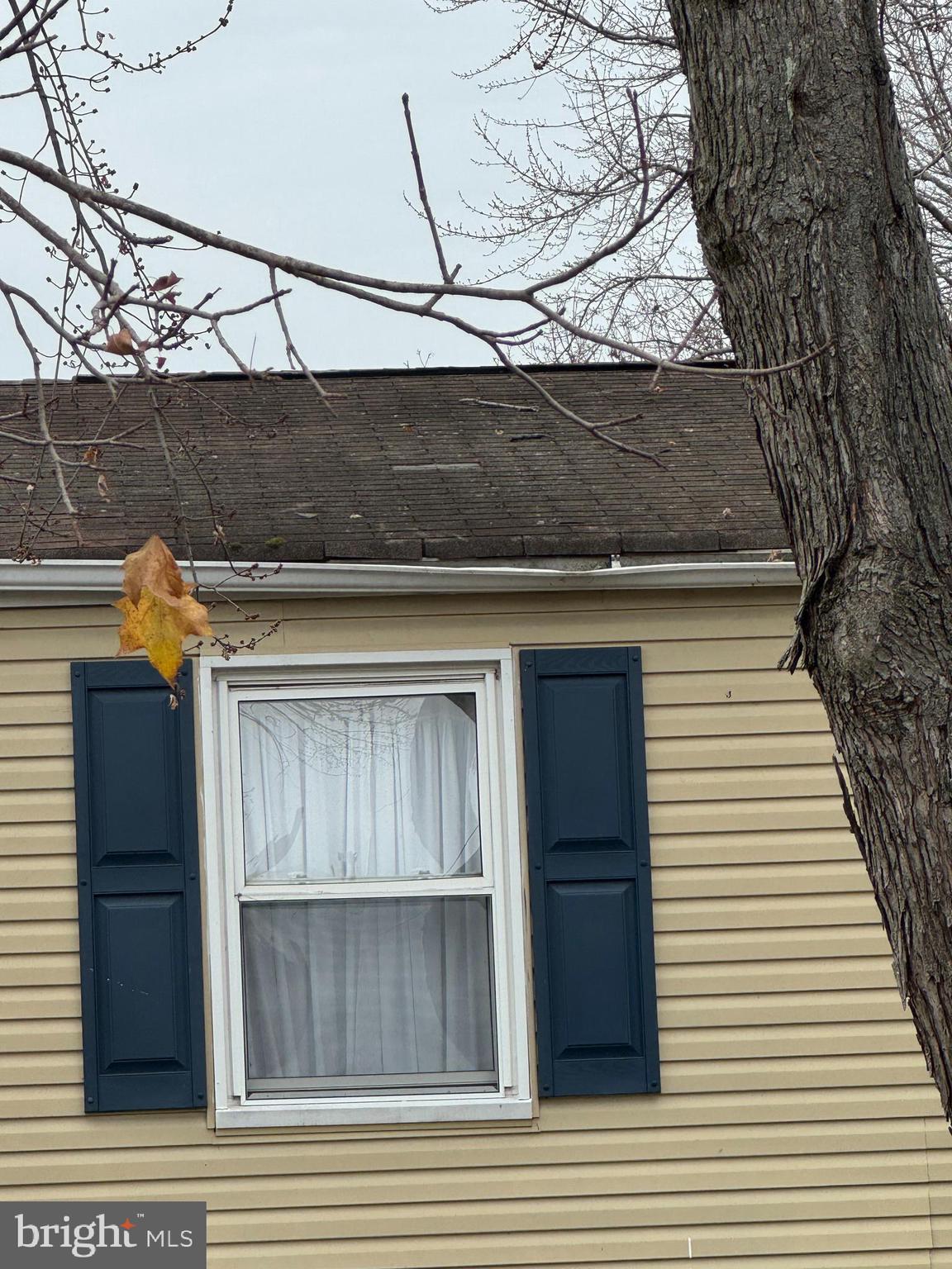 RUMSEY ISLAND - Residential