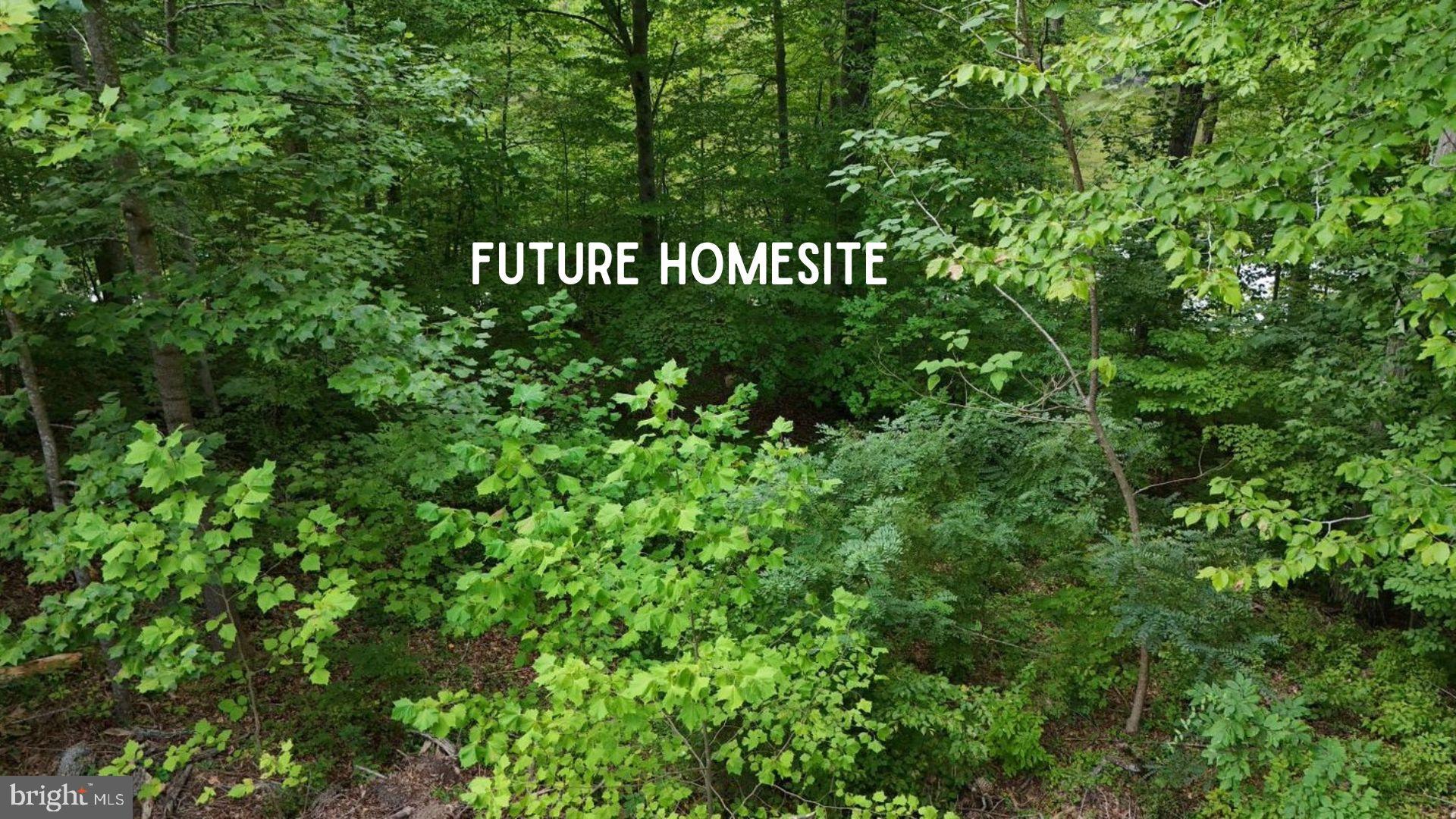 6170 TURKEY RUN COURT