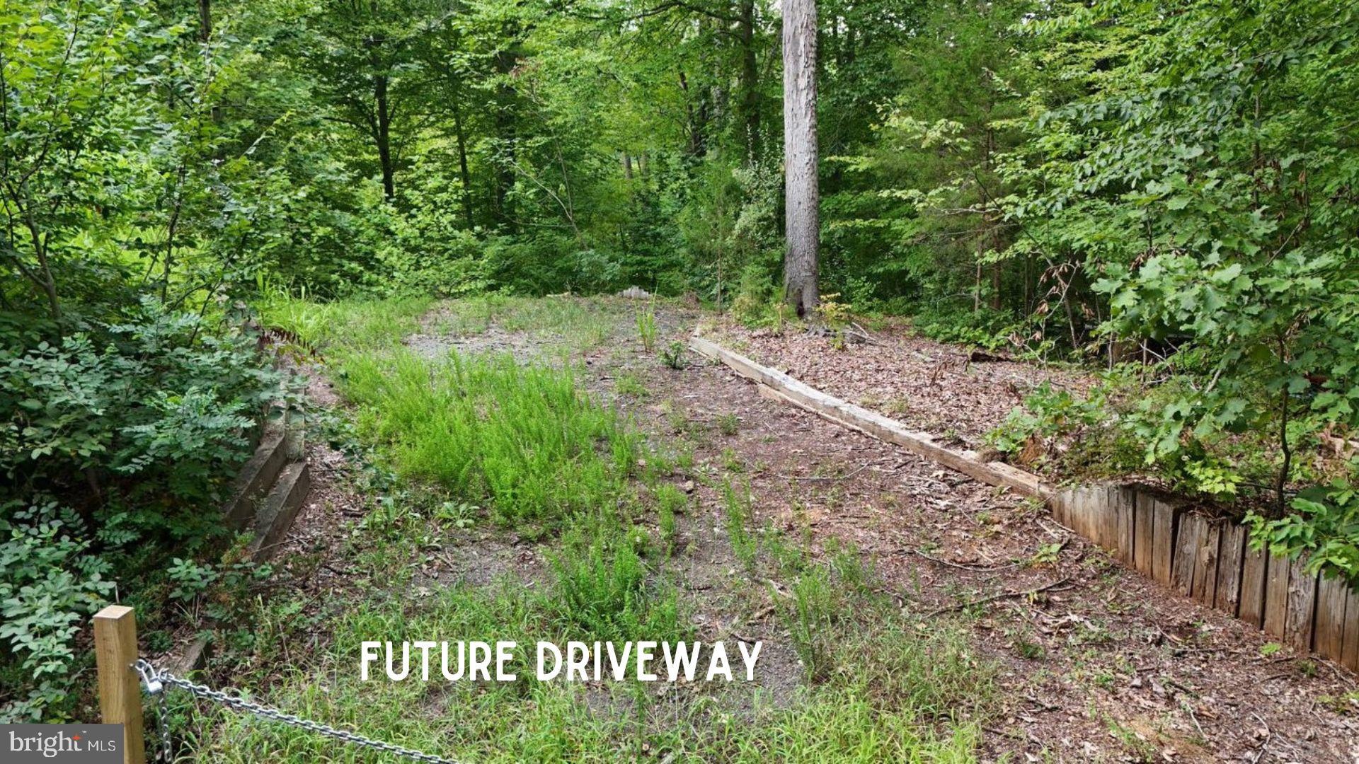 OCCOQUAN FOREST - Land