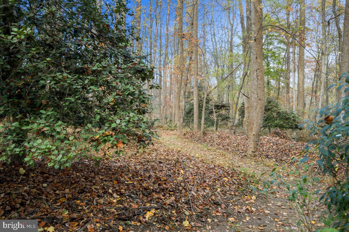 SPRINGBROOK FOREST - Residential