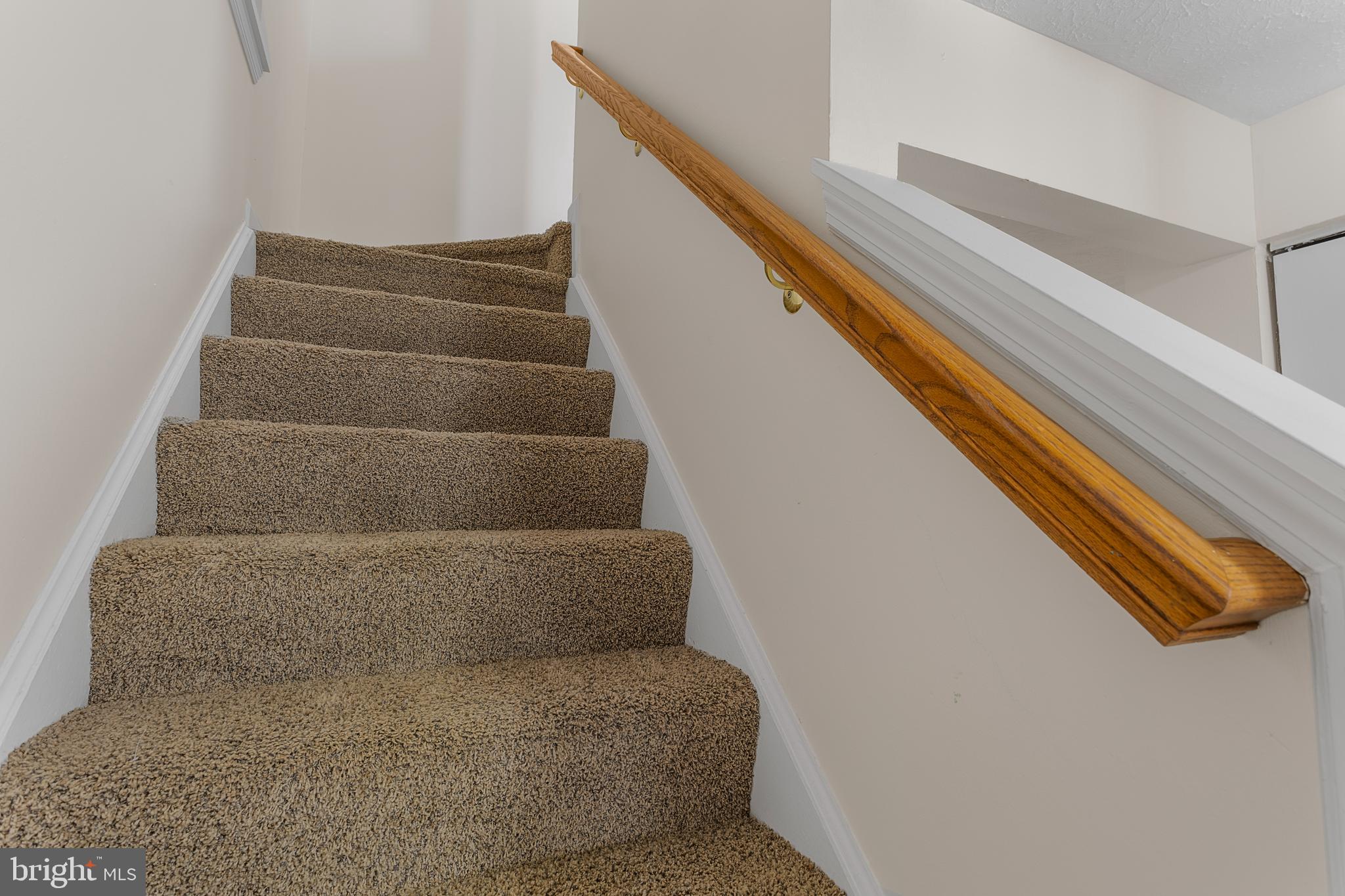 CHESAPEAKE LIGHTHOUSE - Residential