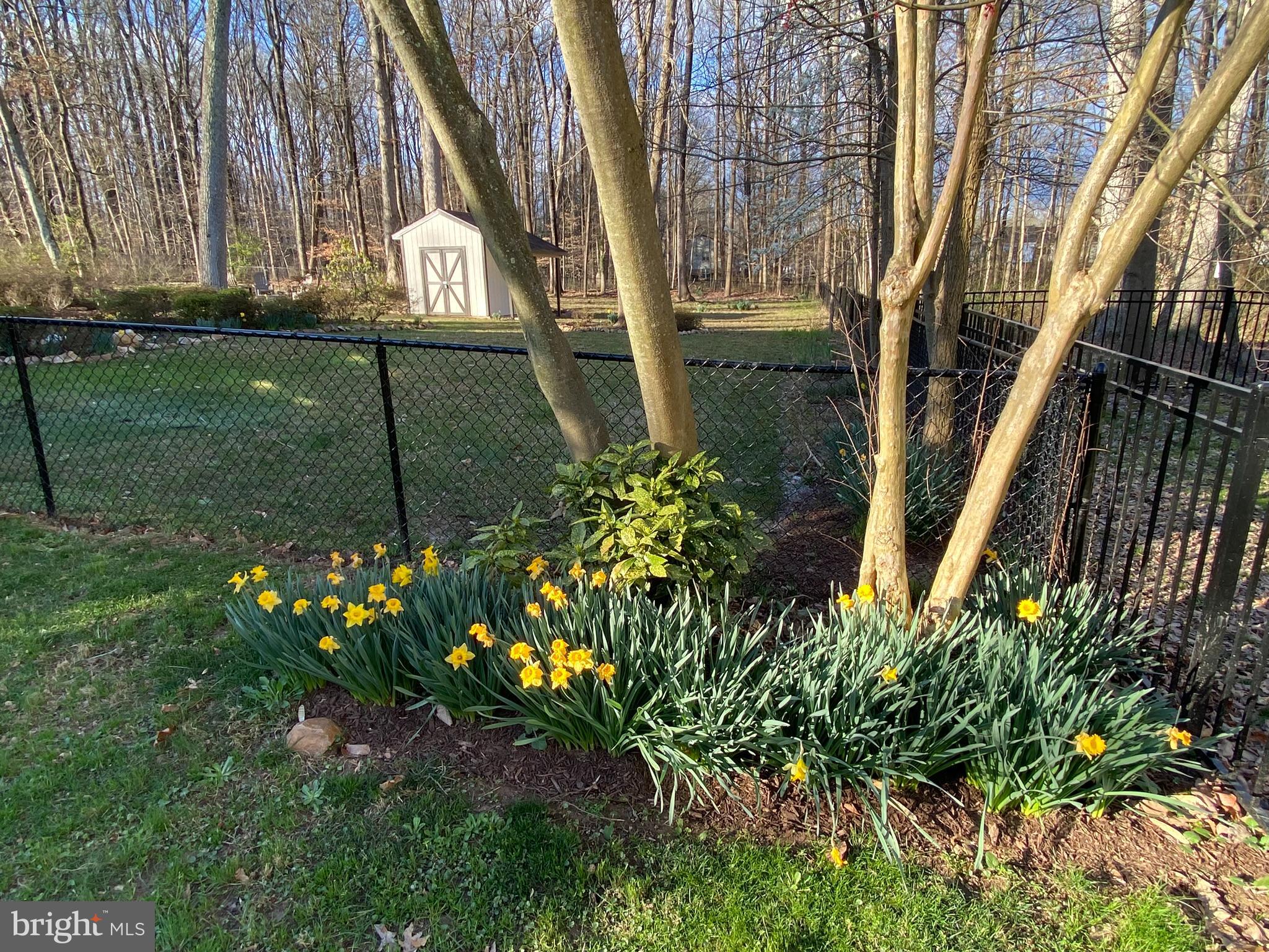 HOMEWOOD - Residential