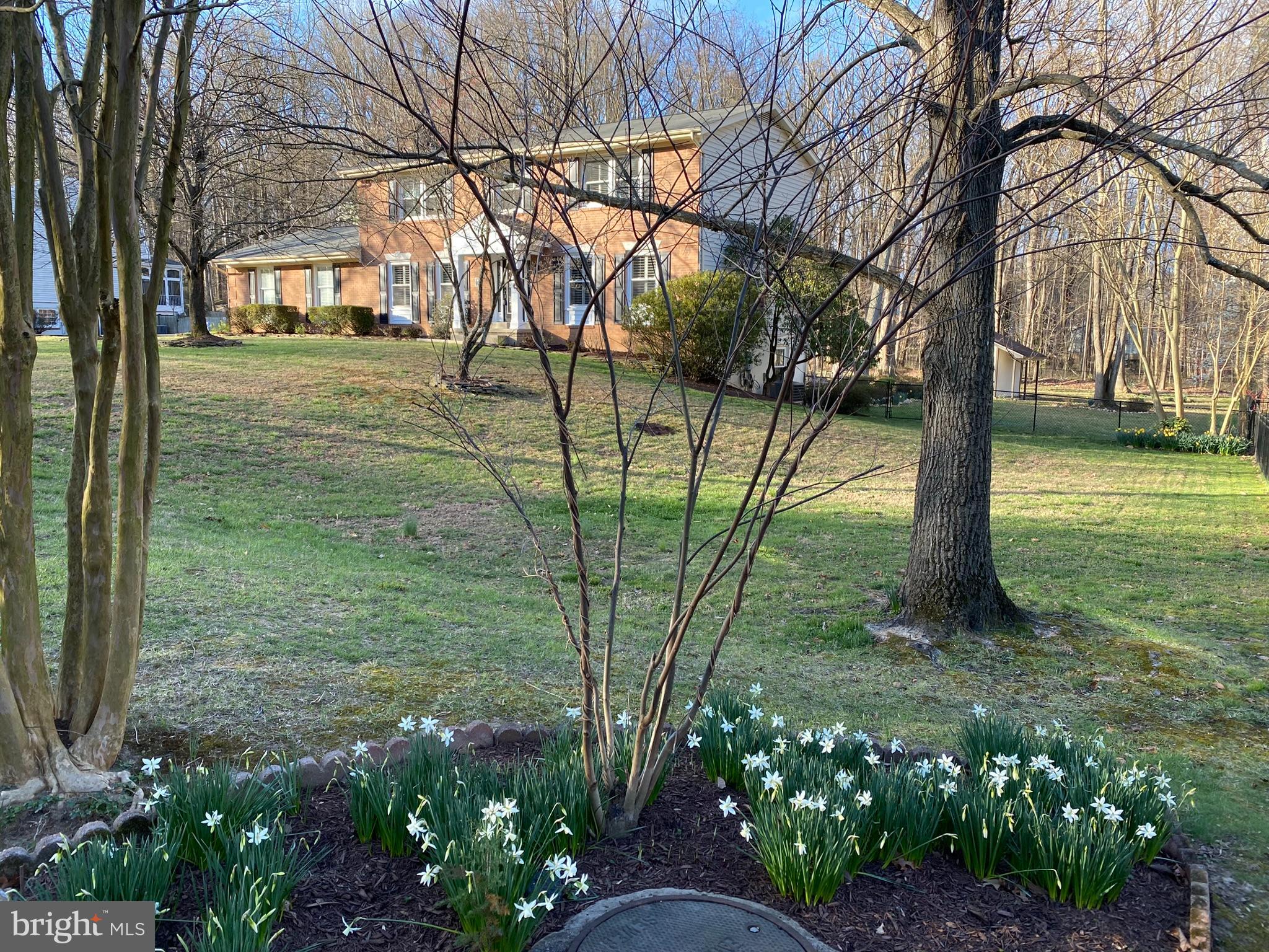 HOMEWOOD - Residential