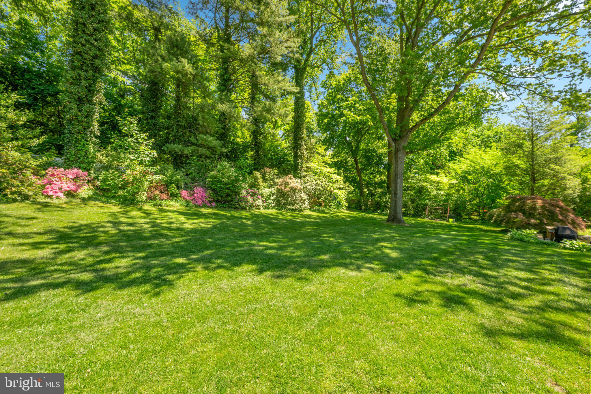 BRYN MAWR - Residential