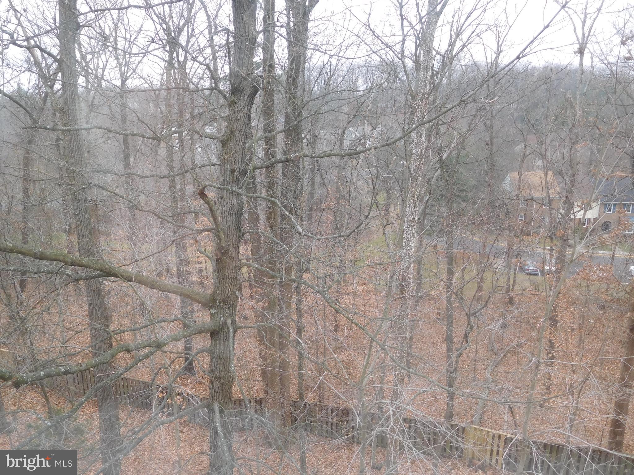 FOUNDERS WALK - Residential Lease