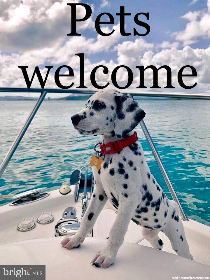 THE LANDING AT SPA CREEK - Residential