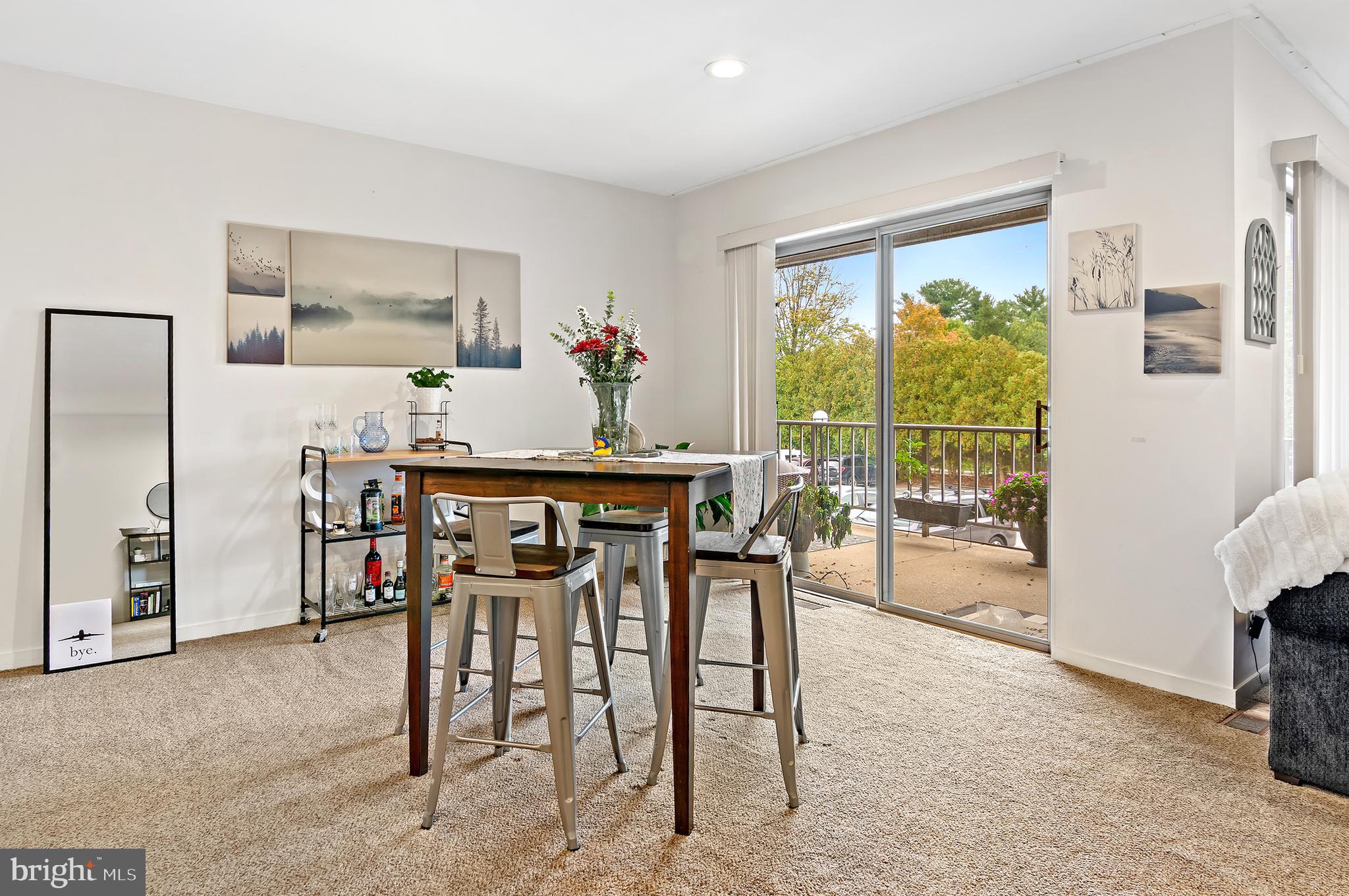 STEVENSON VILLAGE CONDO - Residential