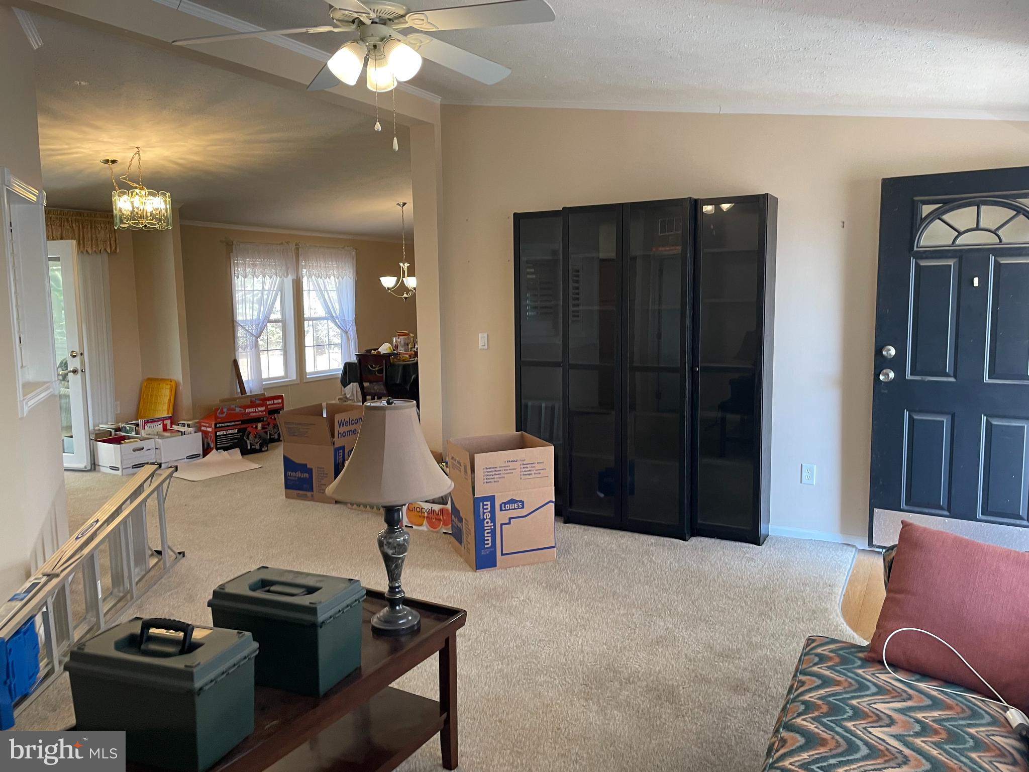 37335 SEA WINDS COURT