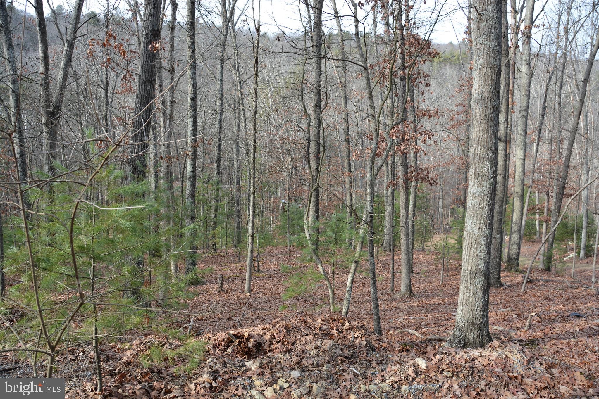 RITTERS HIDDEN VALLEY - Land