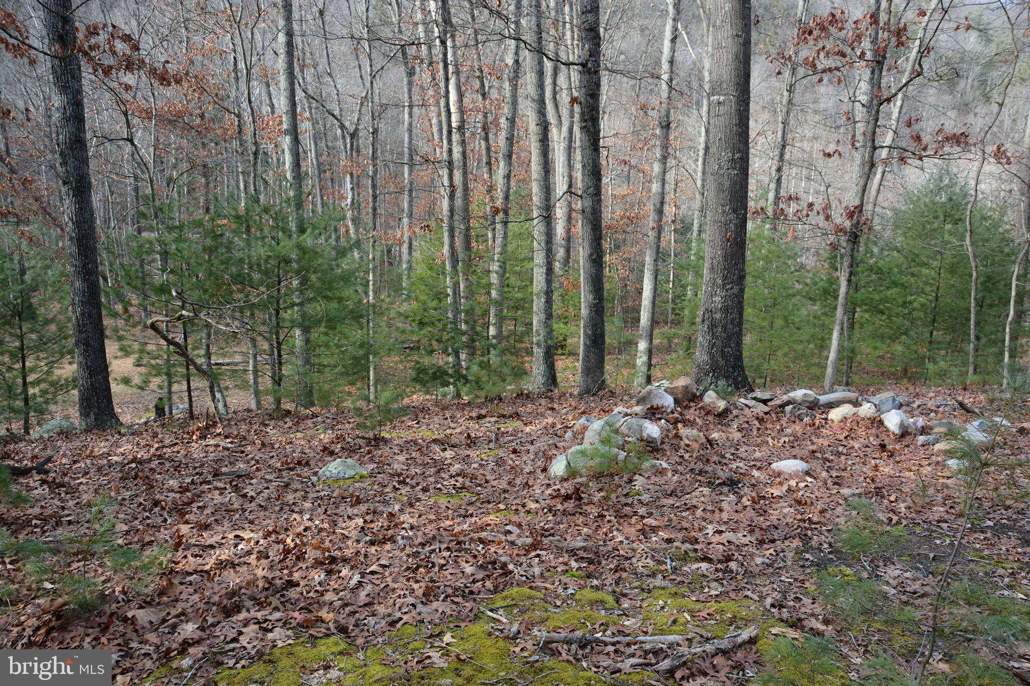 RITTERS HIDDEN VALLEY - Land