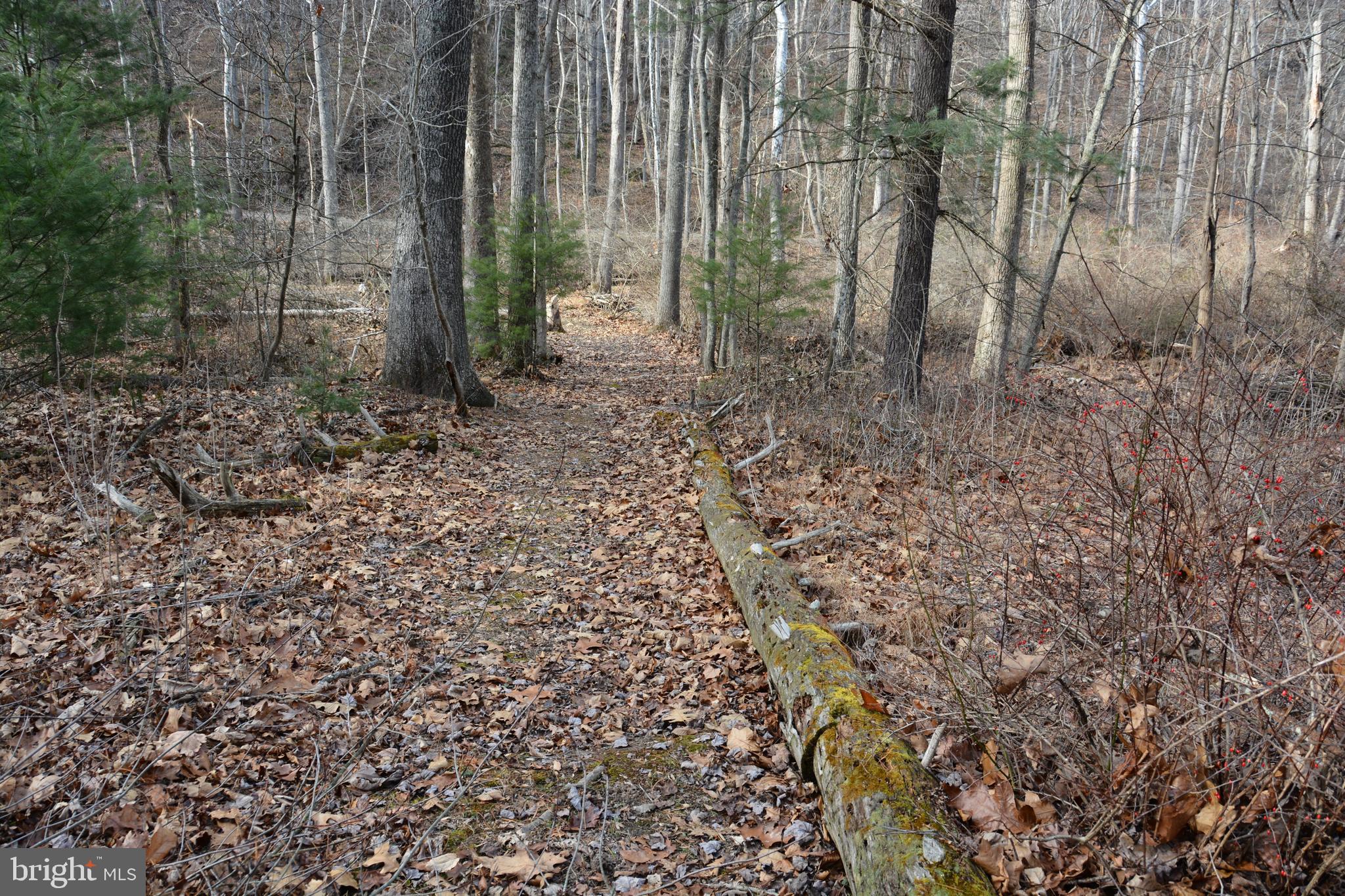 RITTERS HIDDEN VALLEY - Land