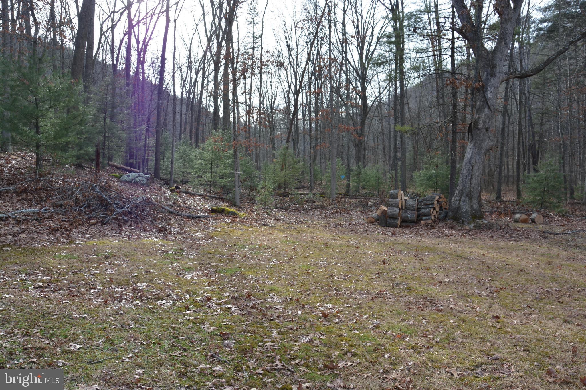 RITTERS HIDDEN VALLEY - Land