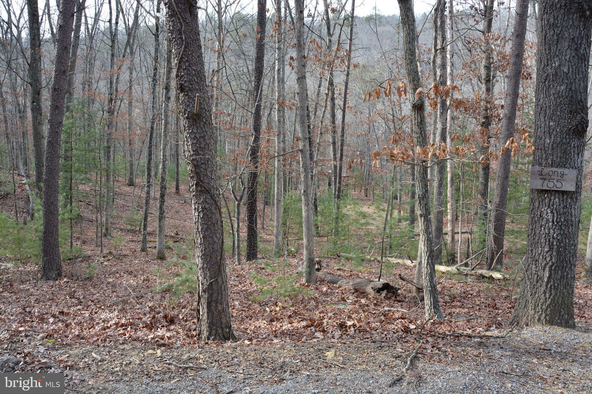 RITTERS HIDDEN VALLEY - Land