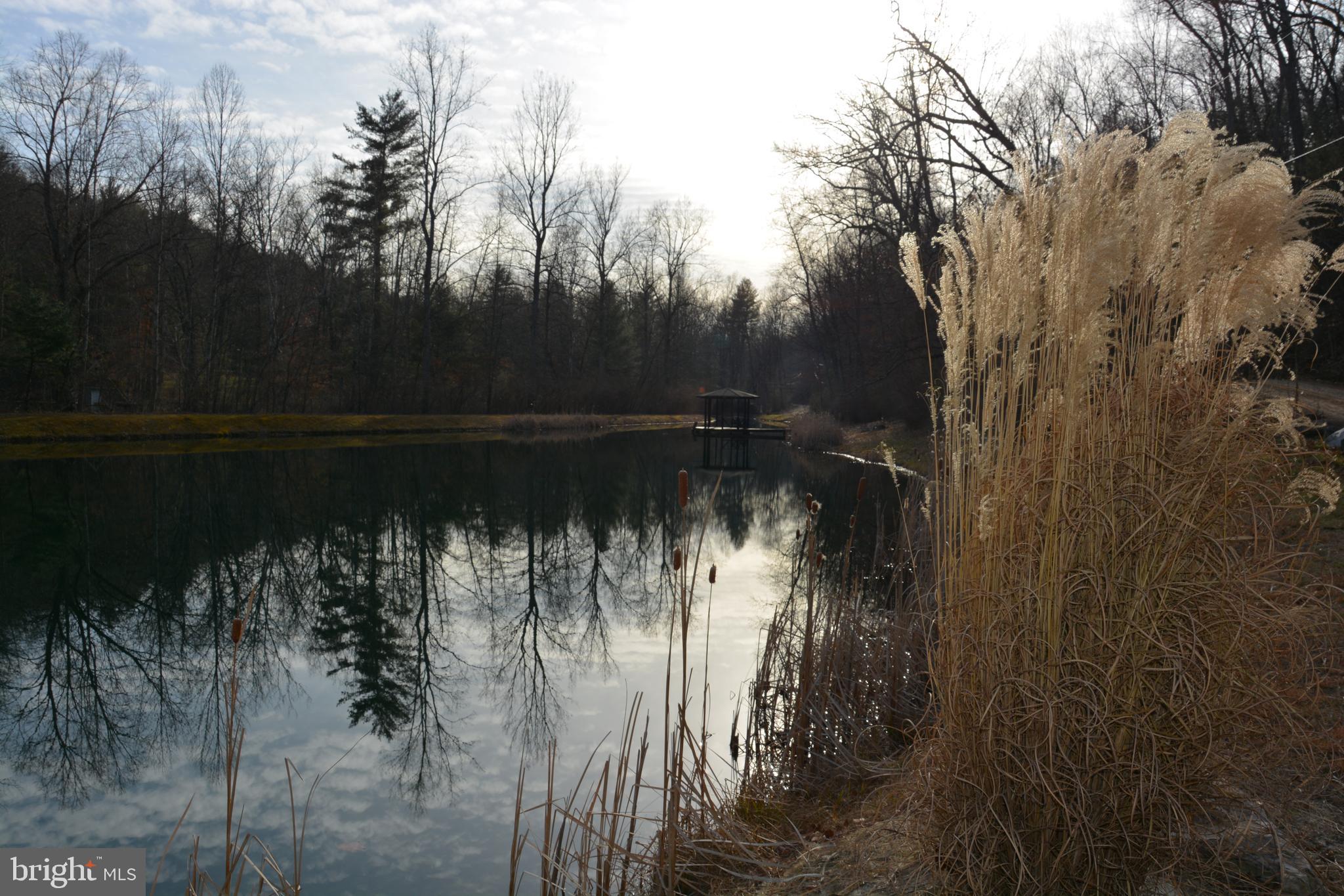 RITTERS HIDDEN VALLEY - Land