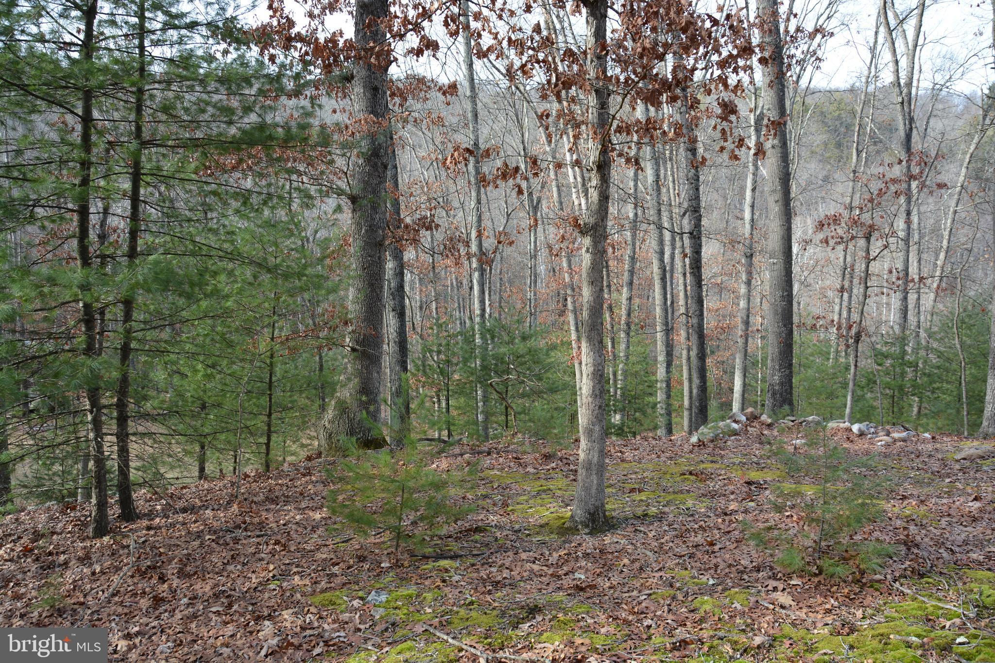 RITTERS HIDDEN VALLEY - Land