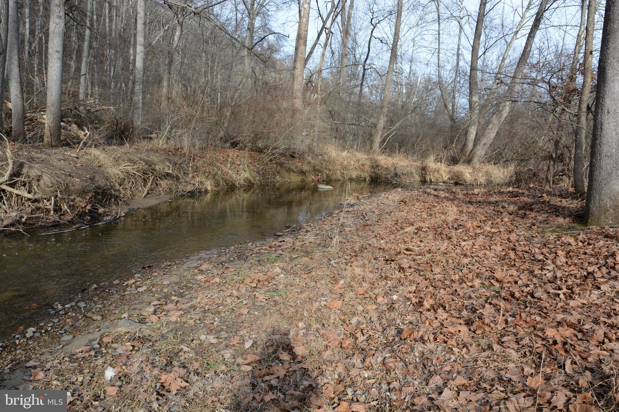 RITTERS HIDDEN VALLEY - Land