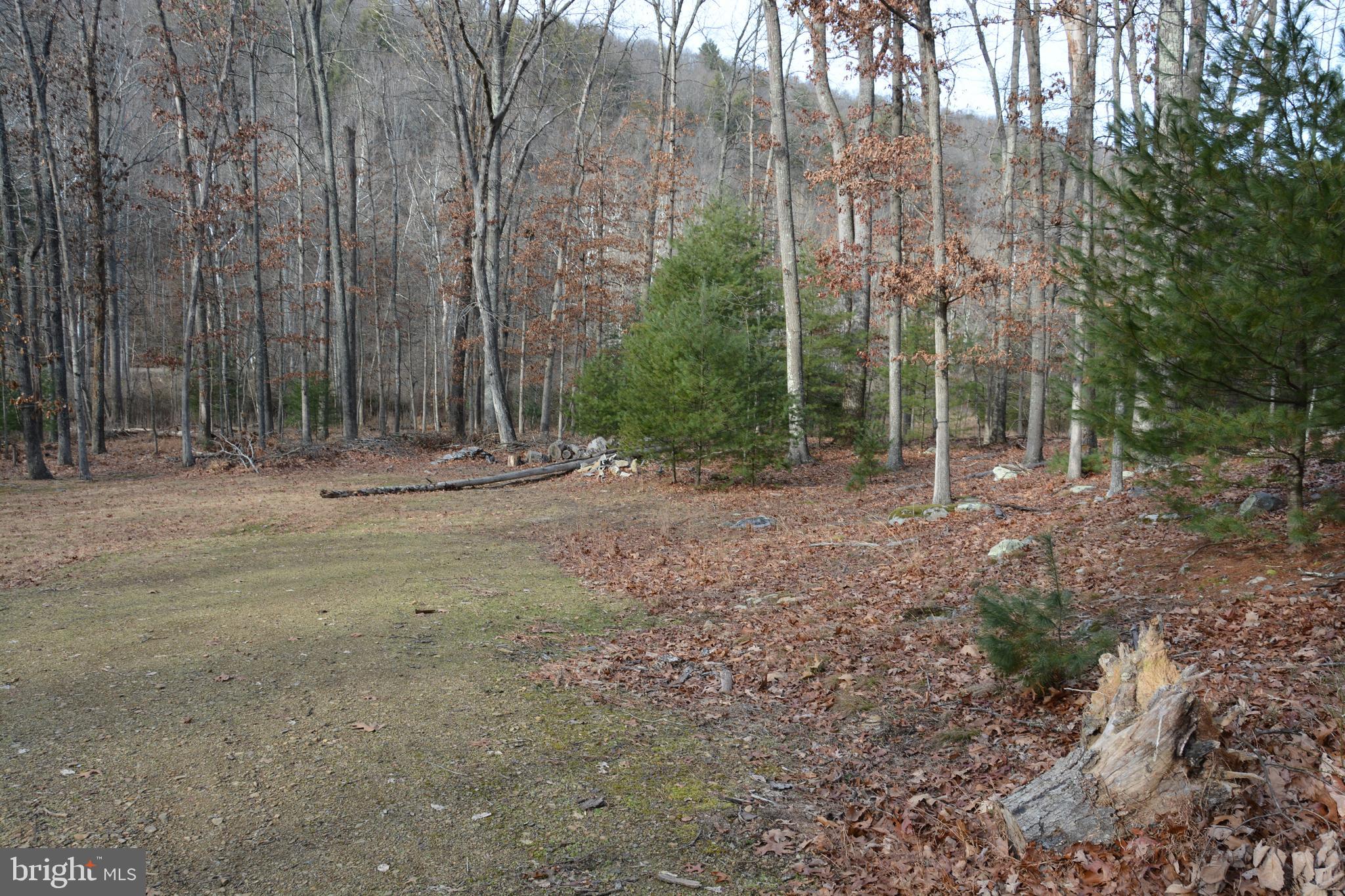 RITTERS HIDDEN VALLEY - Land