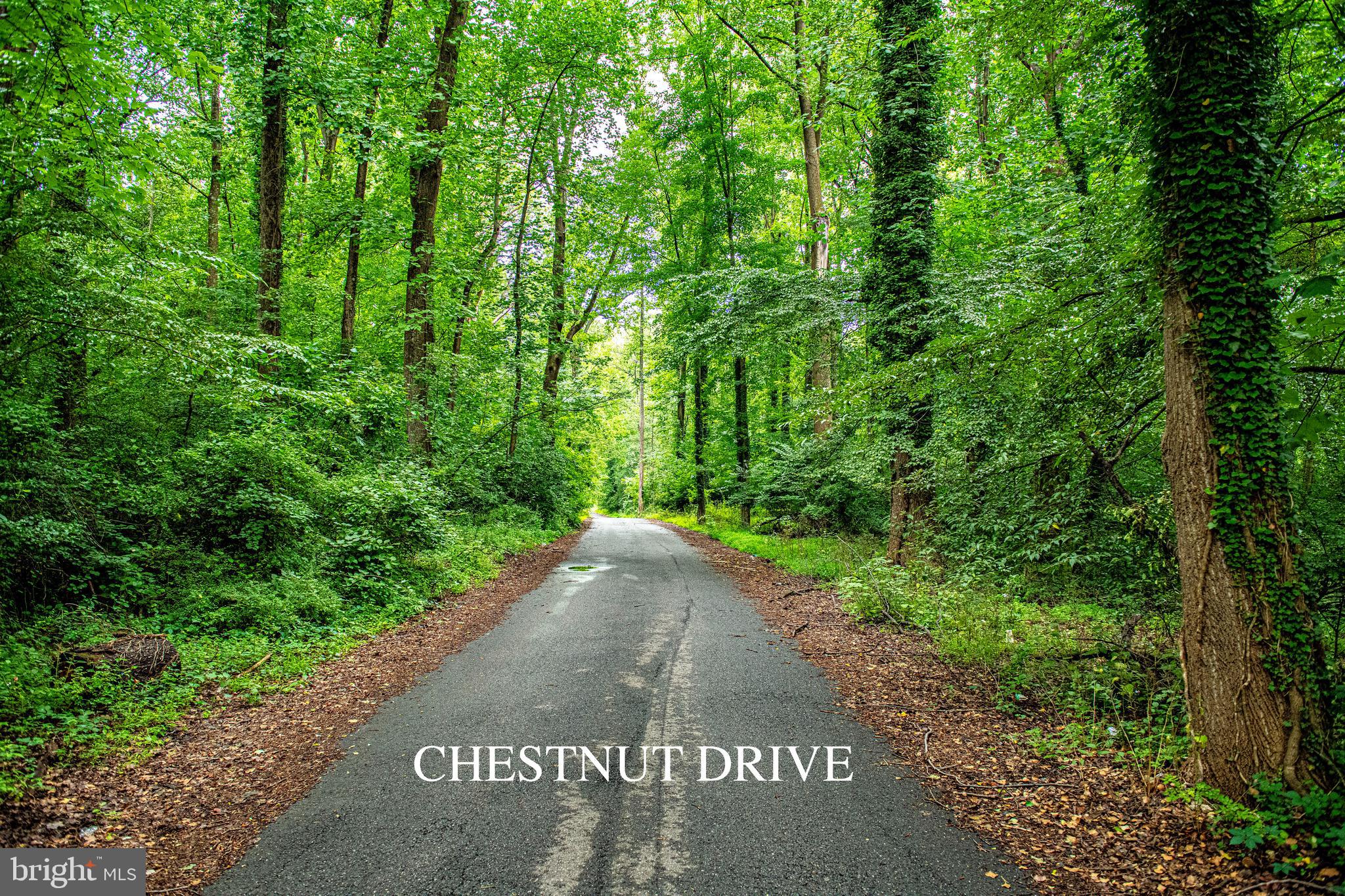 13304 CHESTNUT DRIVE