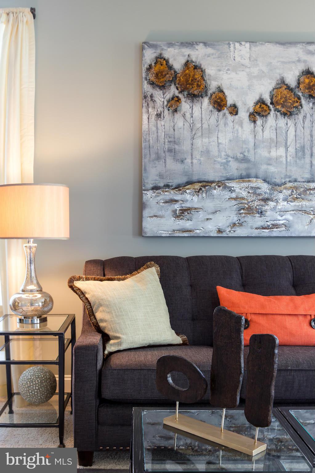 THE VILLAGE OF WASHINGTON TRAIL - Residential