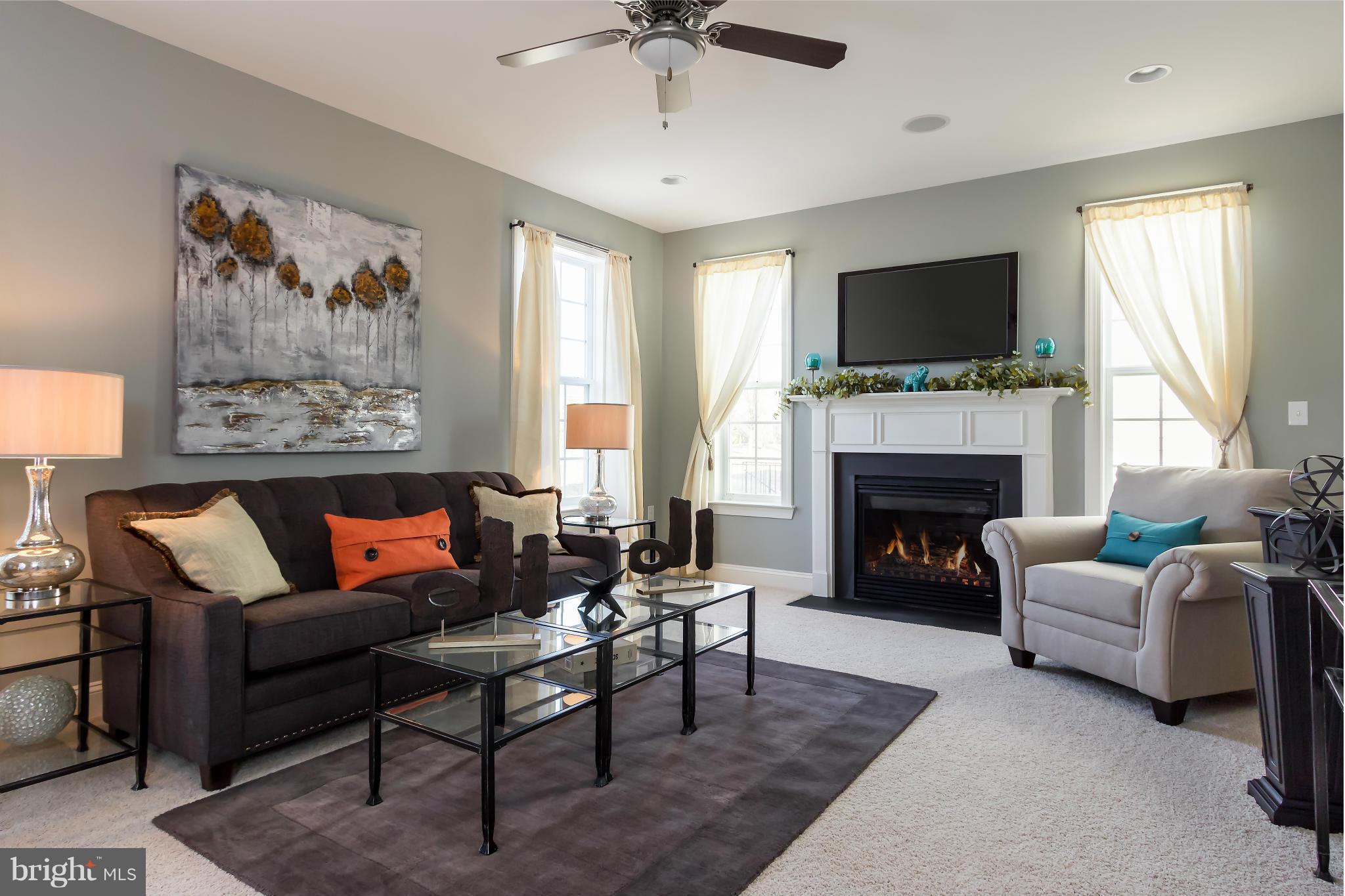 THE VILLAGE OF WASHINGTON TRAIL - Residential