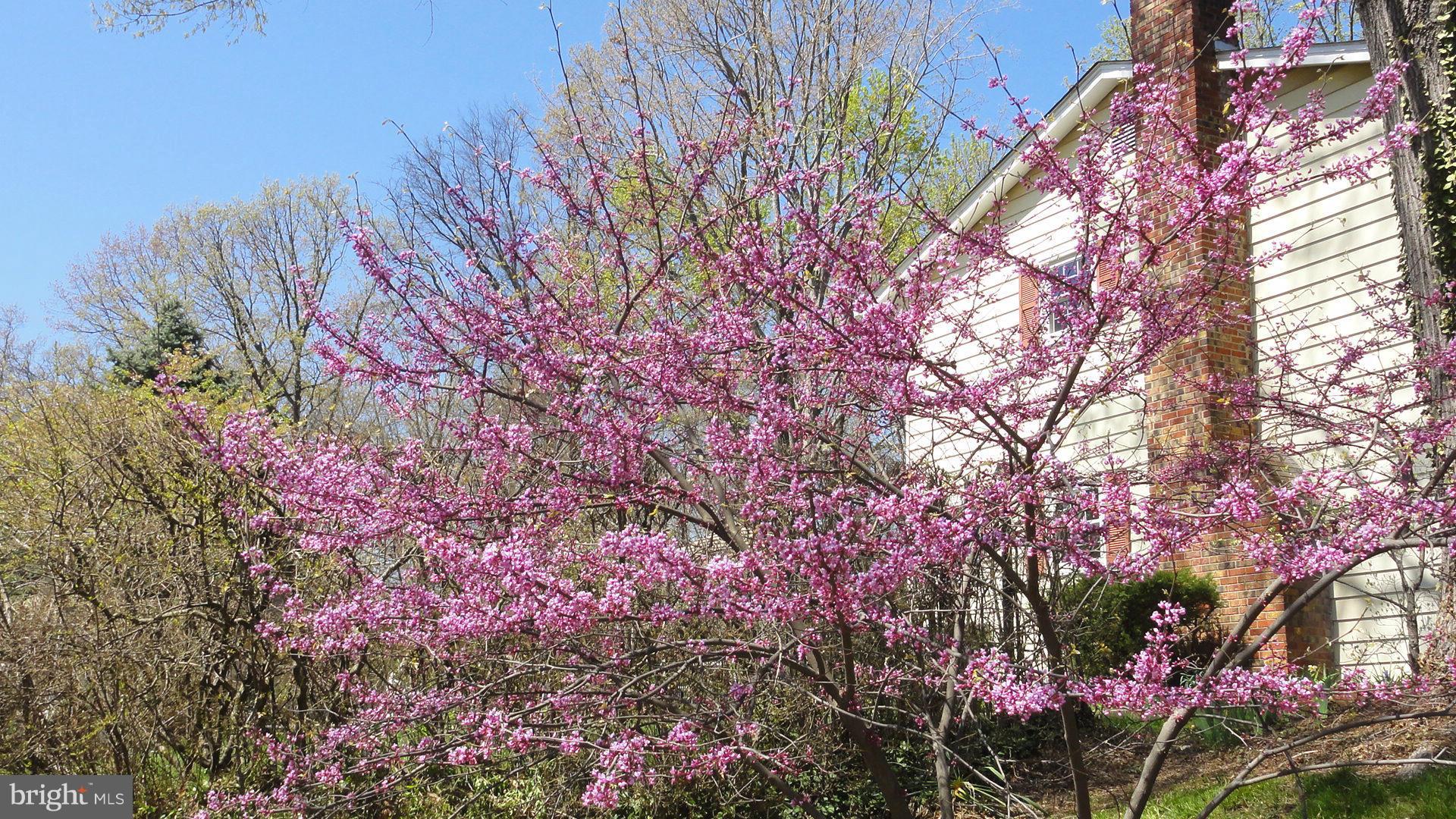 VILLA LORING - Residential