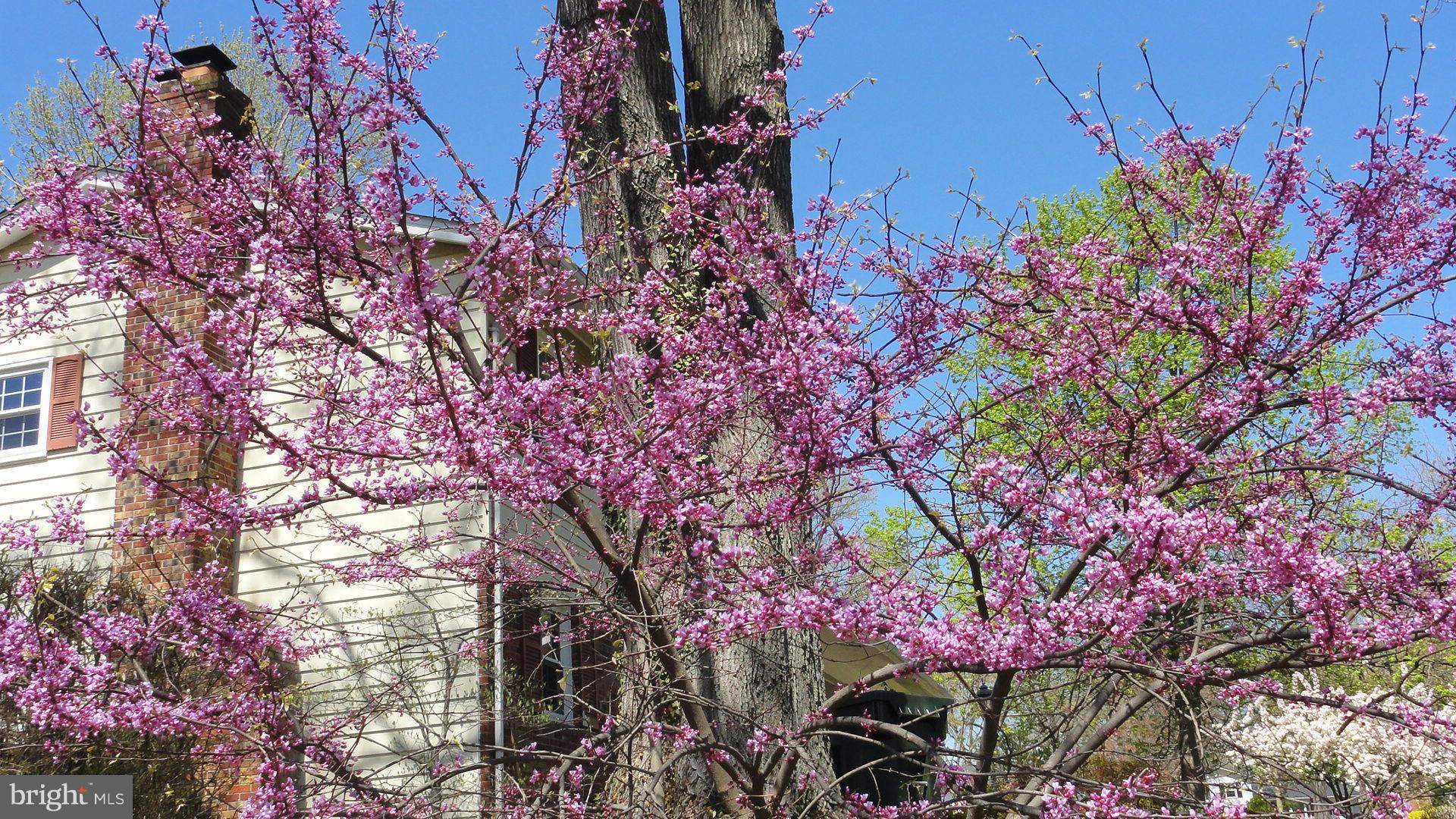VILLA LORING - Residential