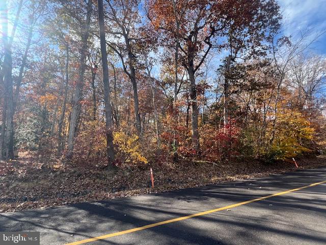 LAKE OF THE WOODS - Land