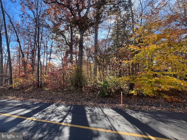 LAKE OF THE WOODS - Land