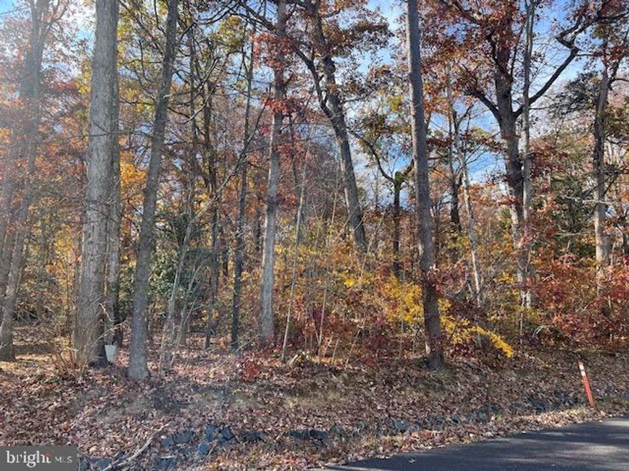Build your dream home in the heart of Lake of the Woods! This level, wooded lot is filled with beautiful hardwood trees, offering the perfect mix of shade, privacy, and natural beauty. Whether you’re looking to build now or hold for the future, this lot is a fantastic investment in one of the area's most popular gated, lake communities. Enjoy being steps from Spotswood Park, a great spot for walks, playtime, or simply unwinding in nature. You are also walking distance to Mt Pleasant Beach, where you can soak up the sun, swim, or launch your kayak for a day on the lake. For added convenience, the main entrance to Lake of the Woods is minutes away, giving you quick access in and out of the community. Don't miss your chance to own a piece of paradise in this sought after community! Lake of the Woods offers a picturesque lakeside lifestyle with an array of amenities to enjoy. At its heart lies a stunning 550 acre lake, perfect for fishing, water sports, or simply unwinding by the shore. Golf enthusiasts can tee off at the PGA course, while equestrians take advantage of scenic riding trails and a dedicated riding ring. The clubhouse provides the ideal setting to dine on the deck, savoring breathtaking sunsets as boats drift by. Beyond its amenities, this welcoming community thrives on connection, fostering friendships through engaging events and diverse clubs. With gated entrances and security patrols, residents enjoy both tranquility and peace of mind. More than just a place to live, Lake of the Woods is a vibrant retreat where nature and camaraderie come together, creating unforgettable experiences at every turn. Conveniently located in the heart of Locust Grove, this home offers easy access to shopping, dining, wineries, and historical landmarks for those who love history. Plus, with nearby commuter routes, traveling to surrounding areas is effortless. Discover the charm of this exceptional lake community. Call me today to schedule a tour and envision making it your home!