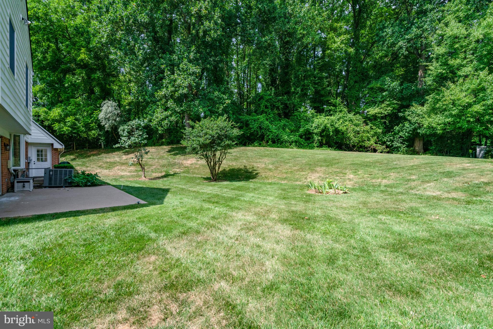 CHAPEL HILL - Residential