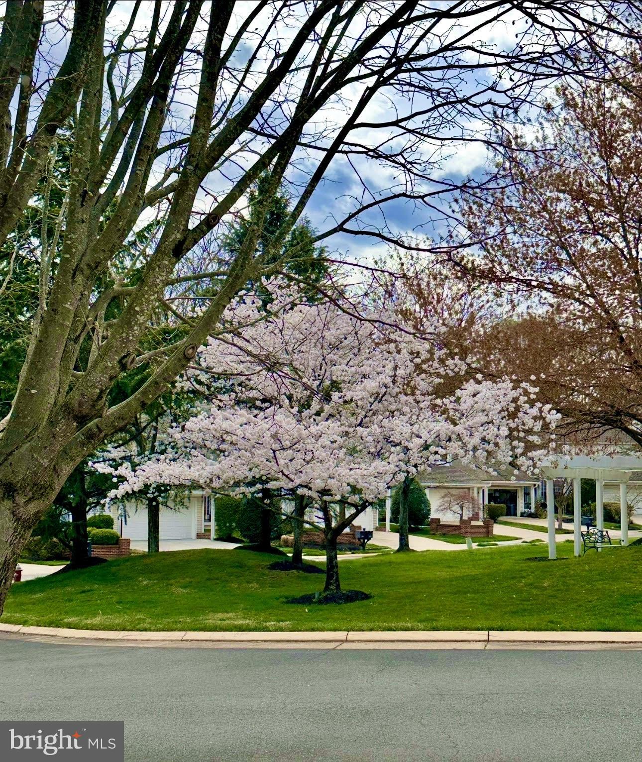 9800 BOLTON VILLAGE COURT