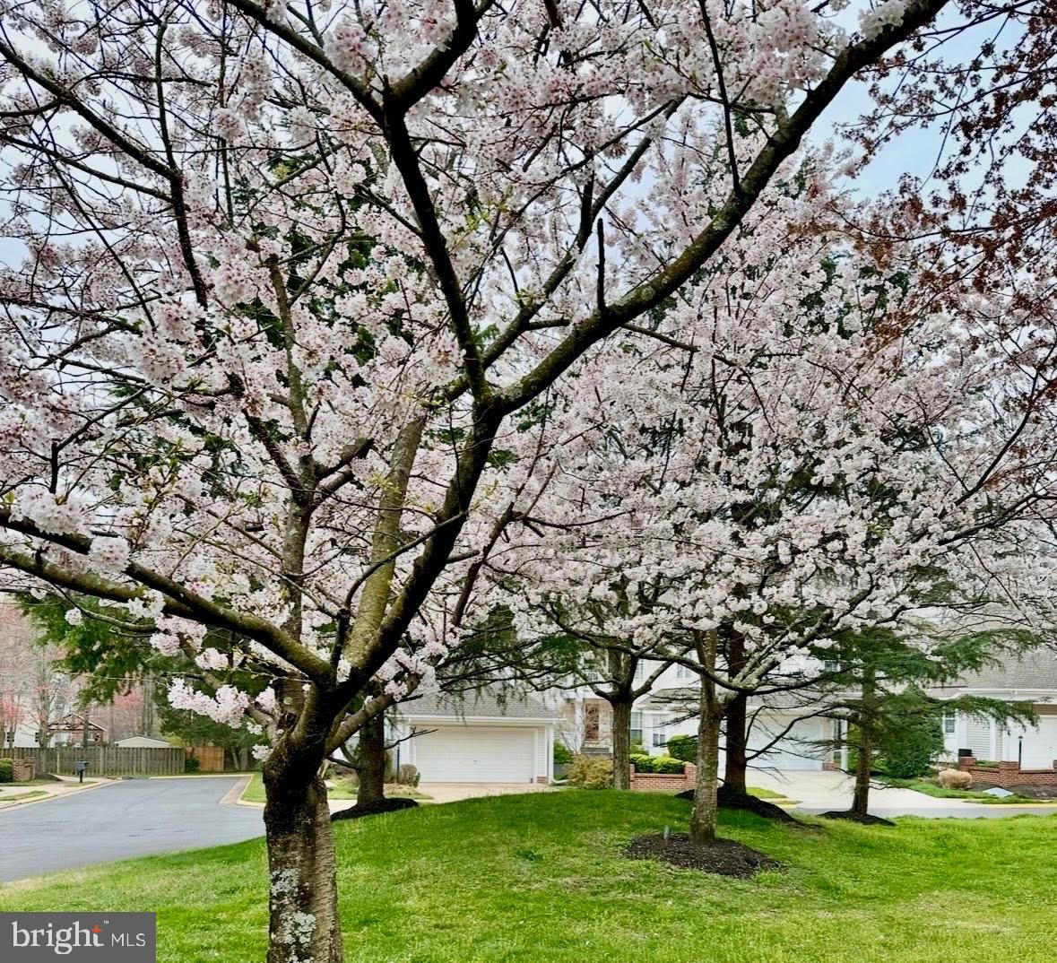 9800 BOLTON VILLAGE COURT