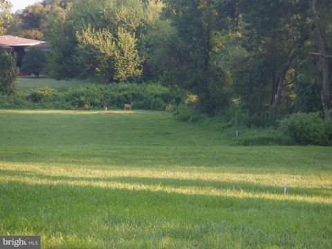 Vacant Land For Sale - 2938 Route 97<br/> GLENWOOD, MD 21738