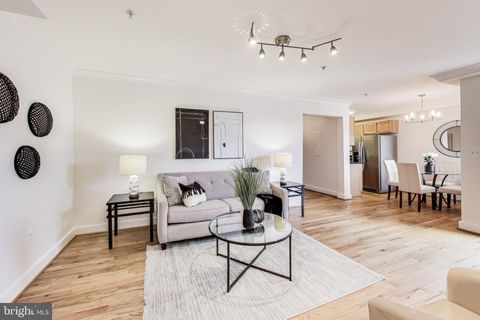 2615 4TH STREET NE 202 WASHINGTON DC 20002