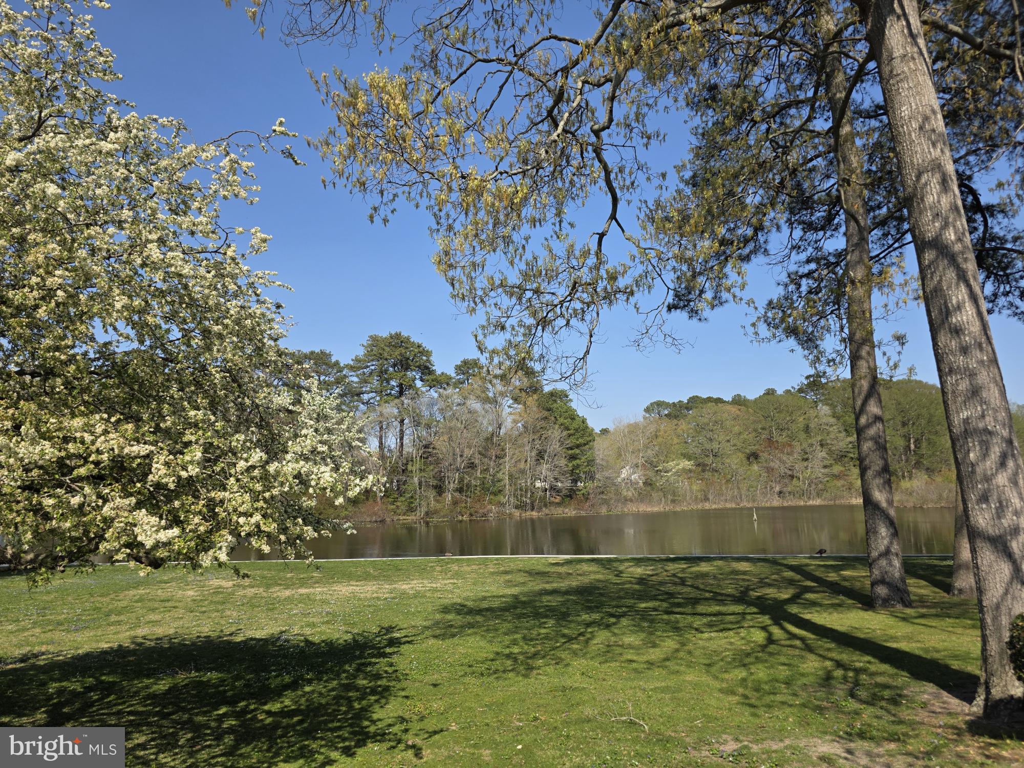 CANAL WOODS III - Residential