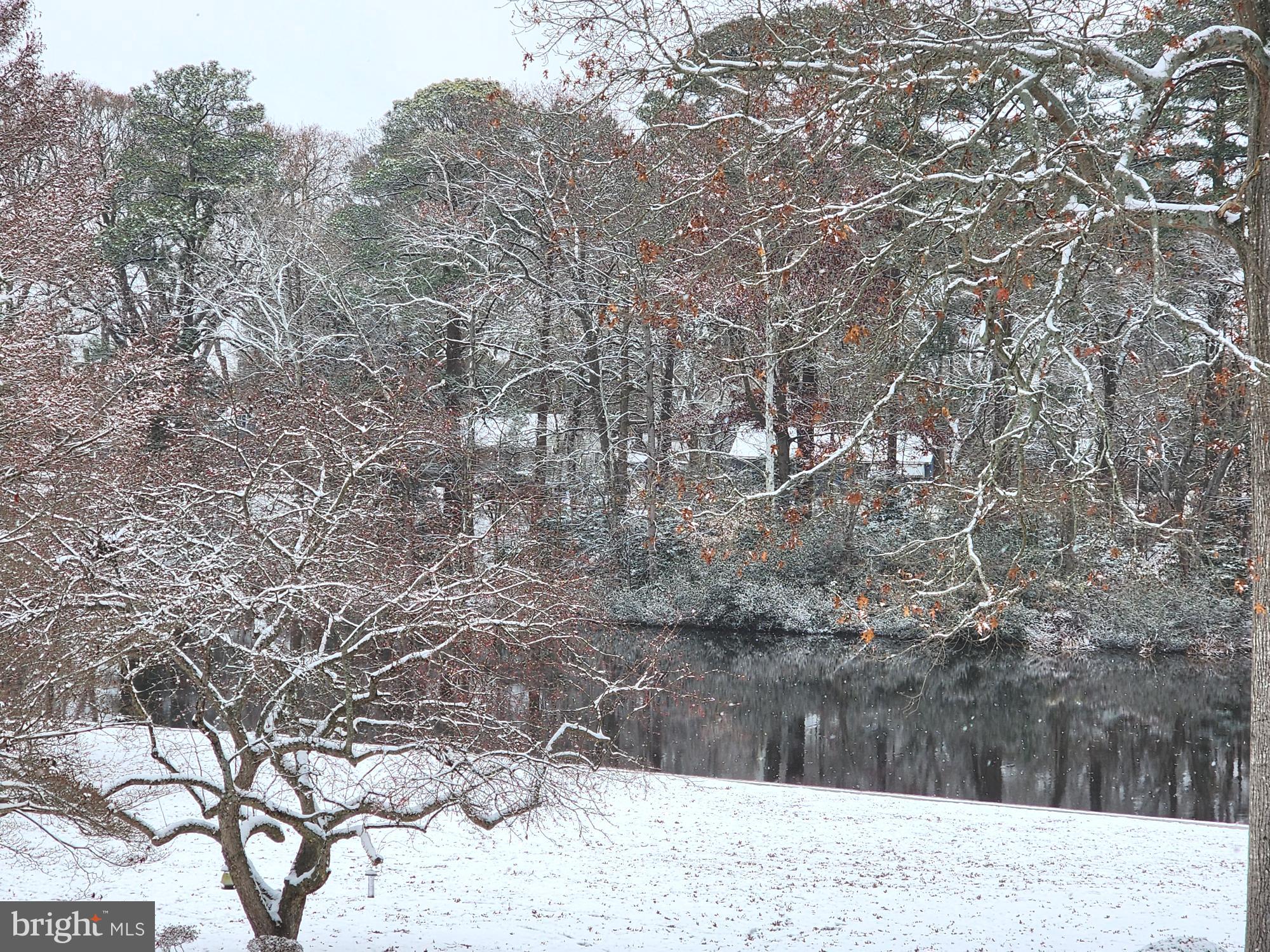 CANAL WOODS III - Residential