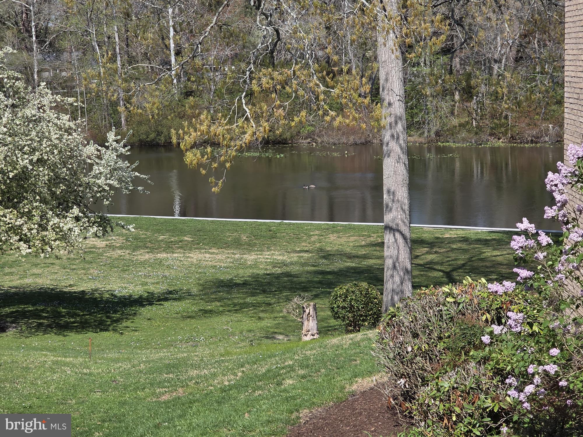 CANAL WOODS III - Residential