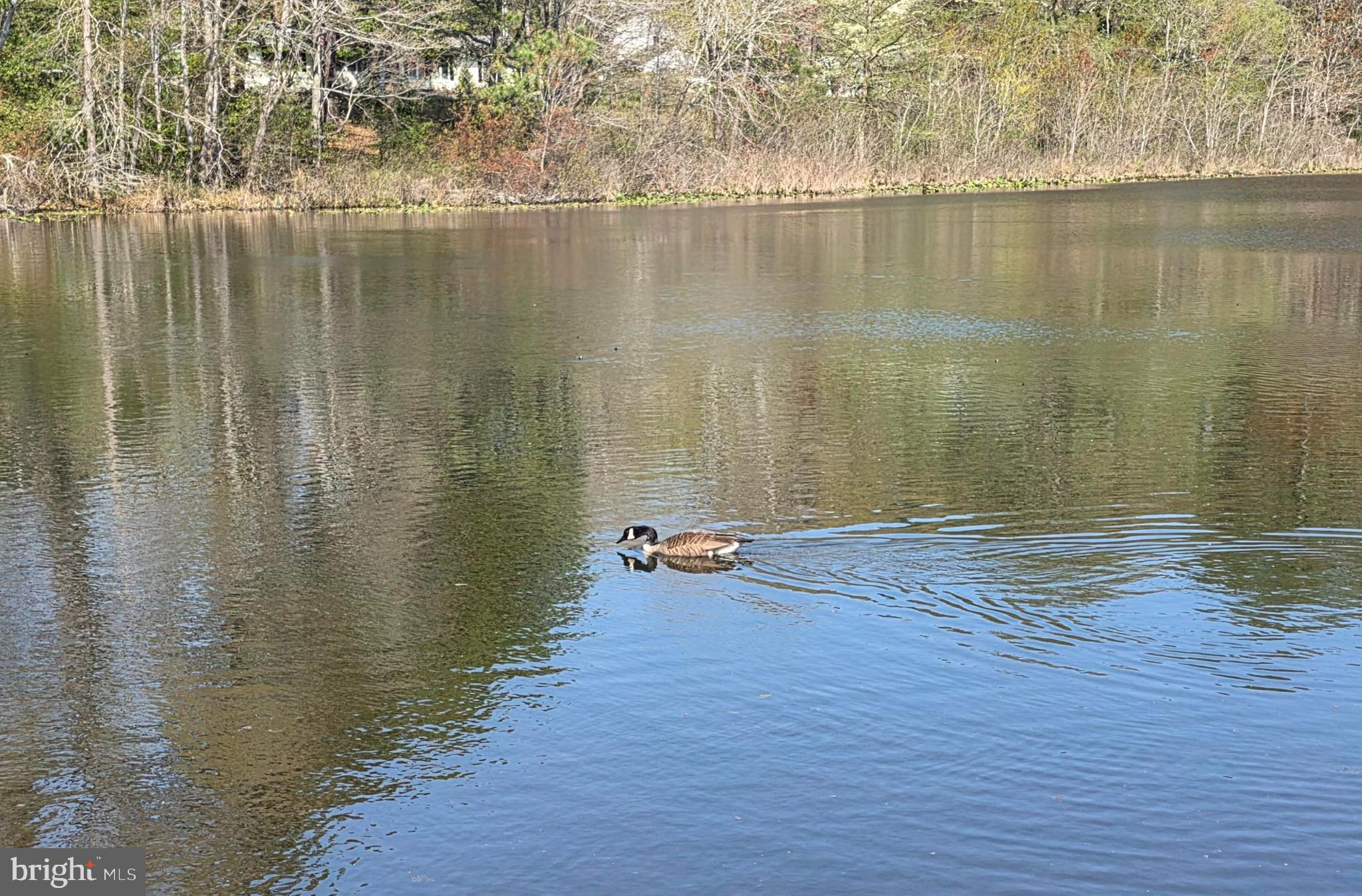 CANAL WOODS III - Residential