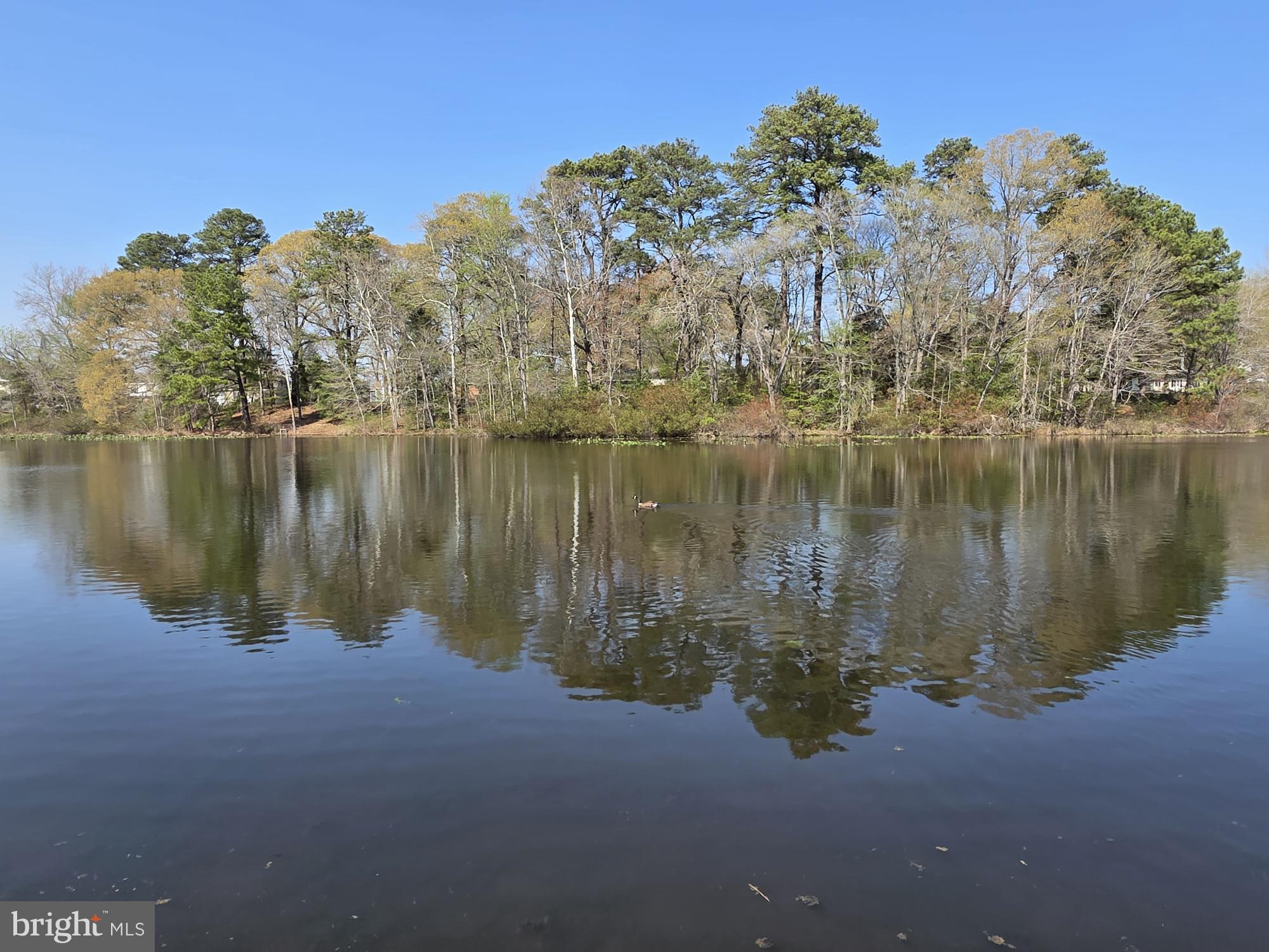 CANAL WOODS III - Residential