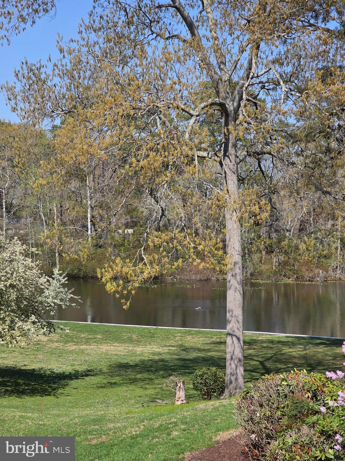 CANAL WOODS III - Residential