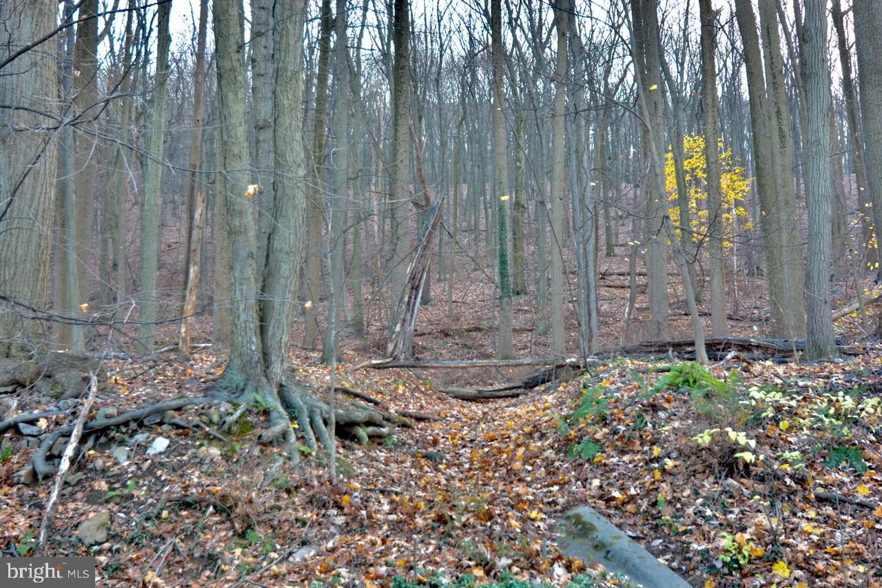 HAMPDEN HEIGHTS - Residential