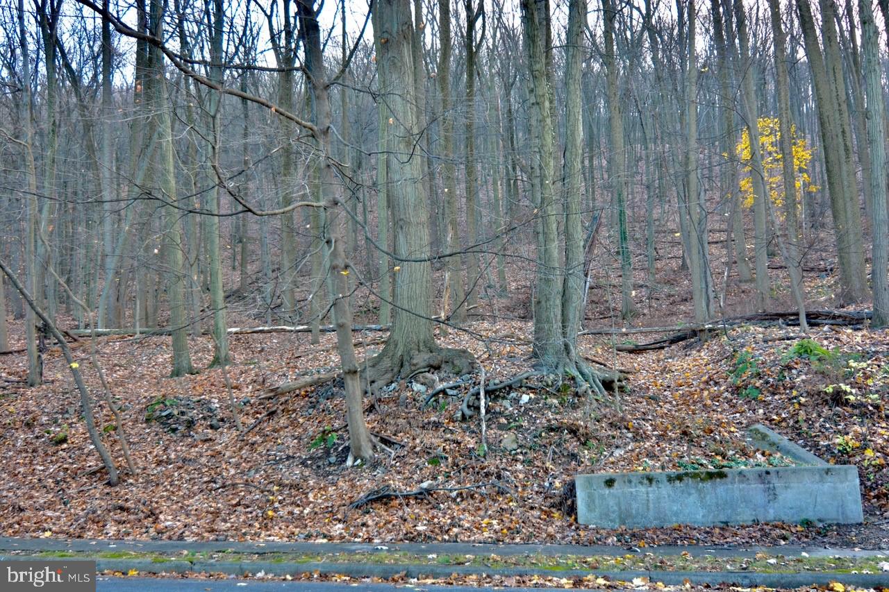 HAMPDEN HEIGHTS - Residential