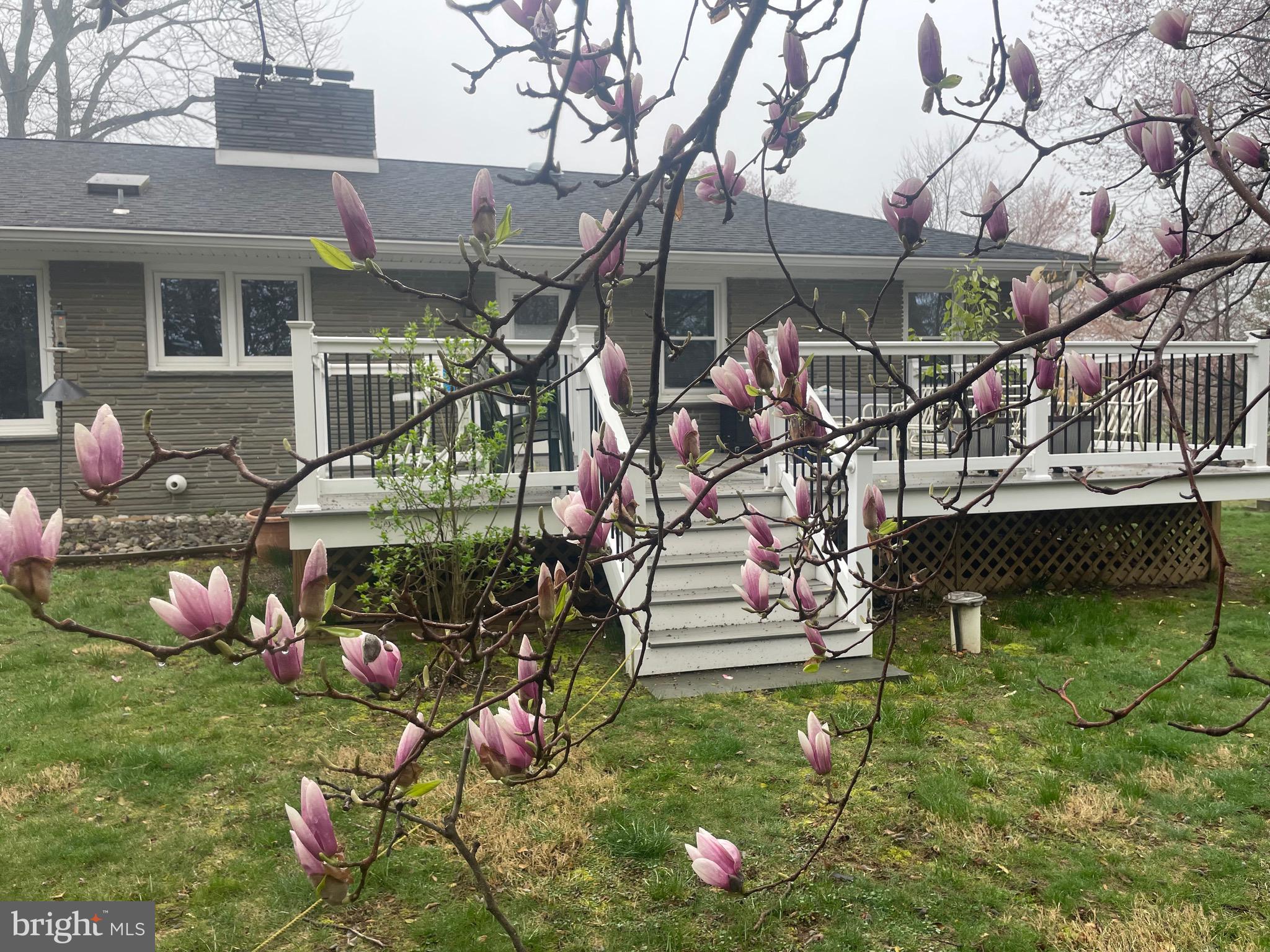 MUNSEE - Residential