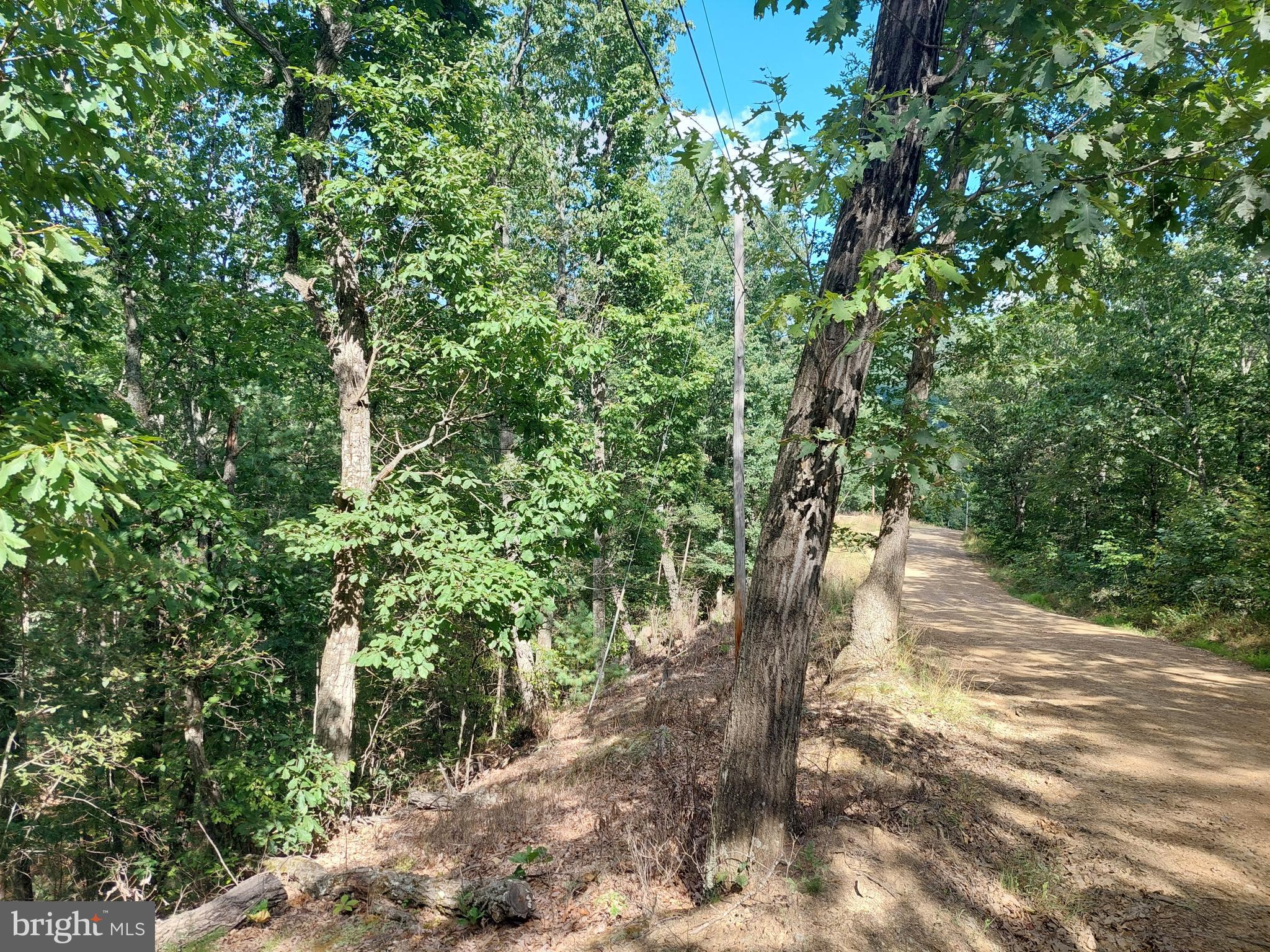 Very minimal restrictions here. Relax in the county and escape "off grid" for a little R&R. Bring your mobile home, double wide or tiny home ideas and live in the quiet community of Rio Hills! Close to Romney and Augusta for shopping, supplies. Easy commute from Winchester, VA and points N-W-S-E!!!