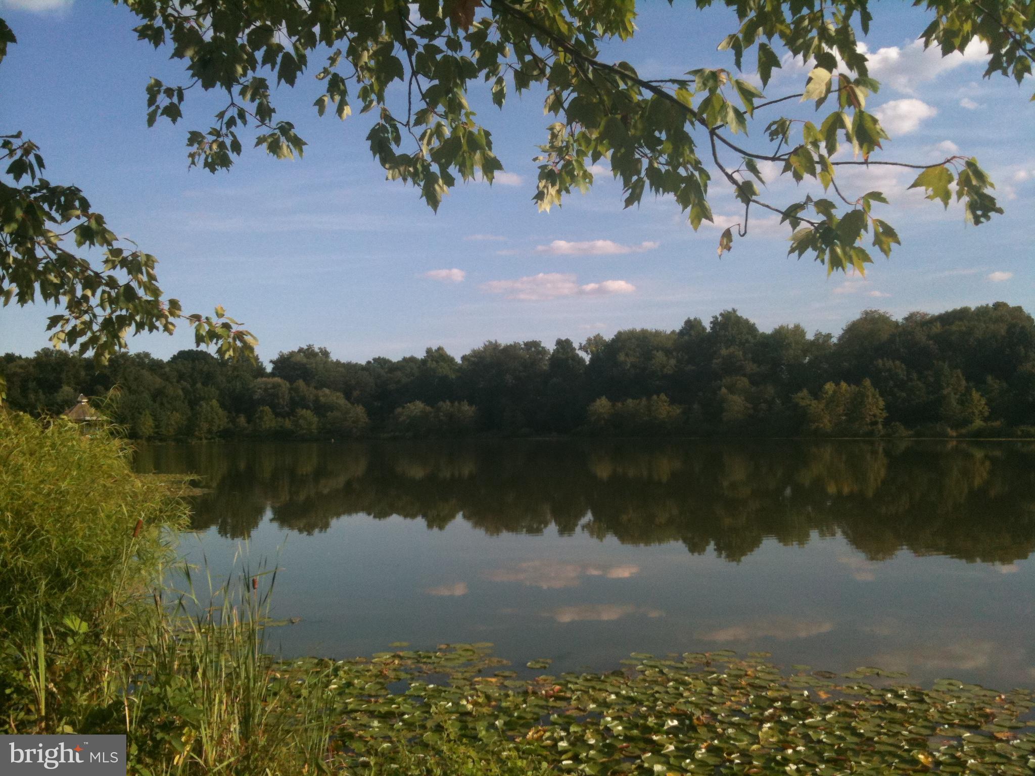 BERWYN HEIGHTS - Residential