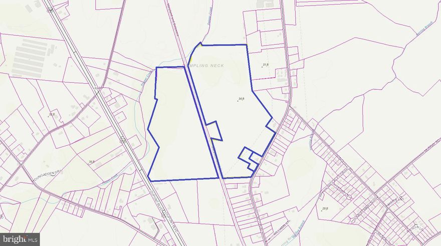 Sale consists of Three parcels  Parcel  # 433-6.00-1.00 (64.20 +/- acres) and 433-6.10-13.00 (1.86 +/- acres).  All three parcels are being sold together.  The total Purchase price for all three is $5,174,550 ($45,000 per acre).  Excellent location, easy access to Route 113 and Route 54.  Close proximately to the Beaches (approx. 15 miles) and close to Millsboro (approx. 6 miles).  There is road frontage on Route 401 and Route 113.